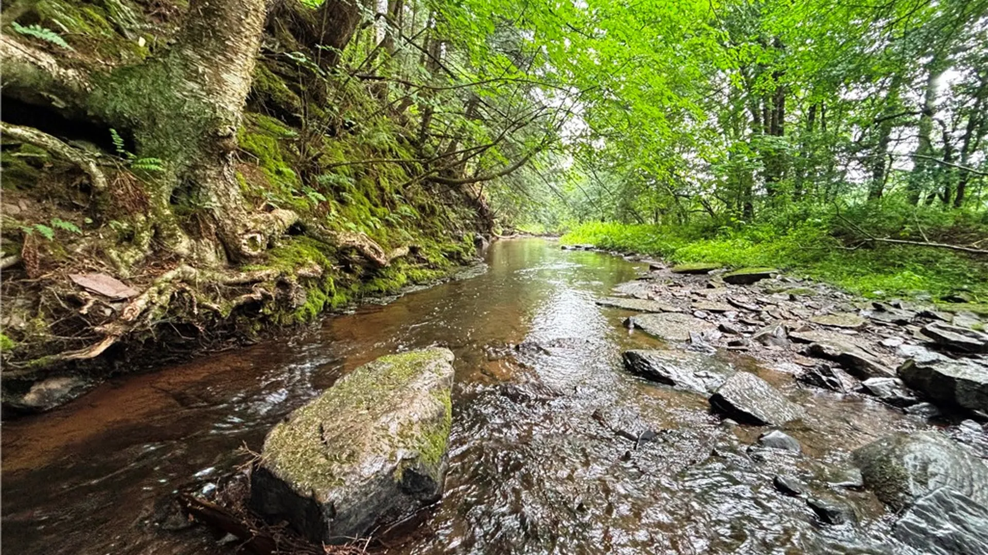 Property at Lot #44 Rt-23, Harpersfield, NY 13786 3