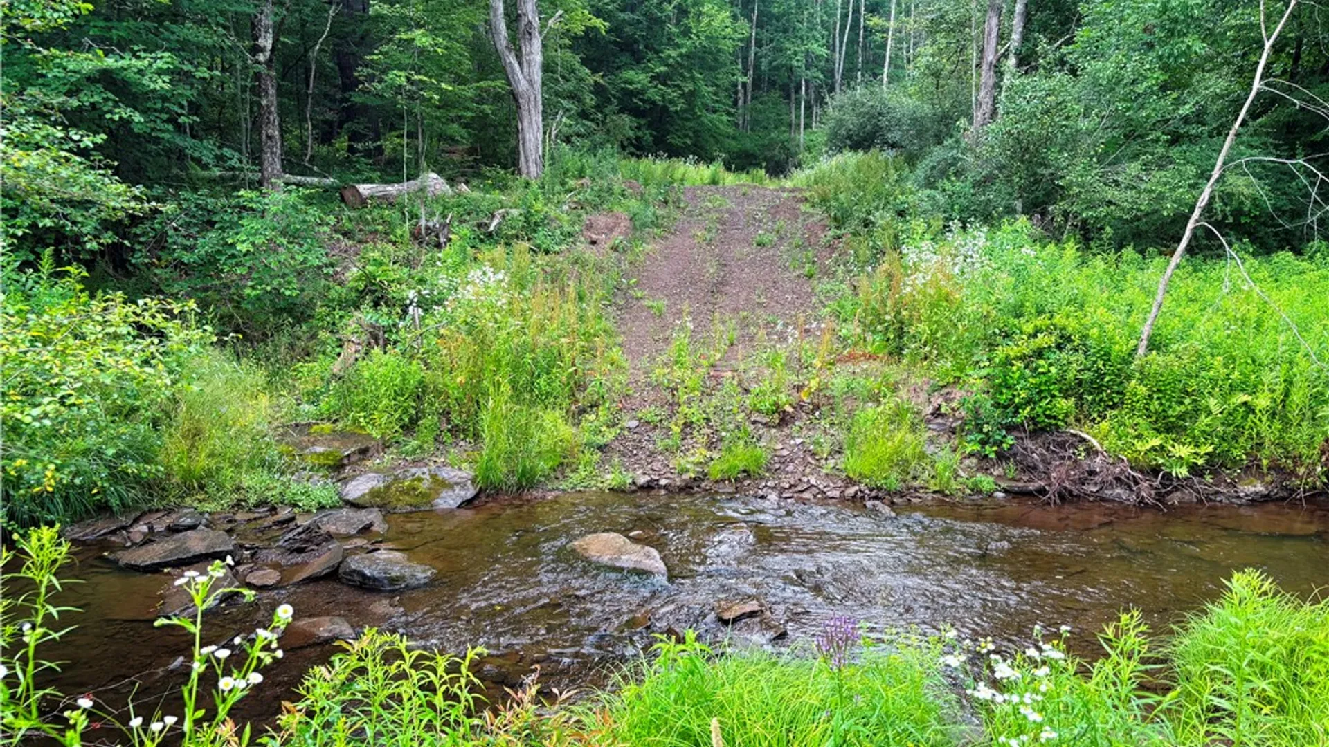 Property at Lot #44 Rt-23, Harpersfield, NY 13786 5