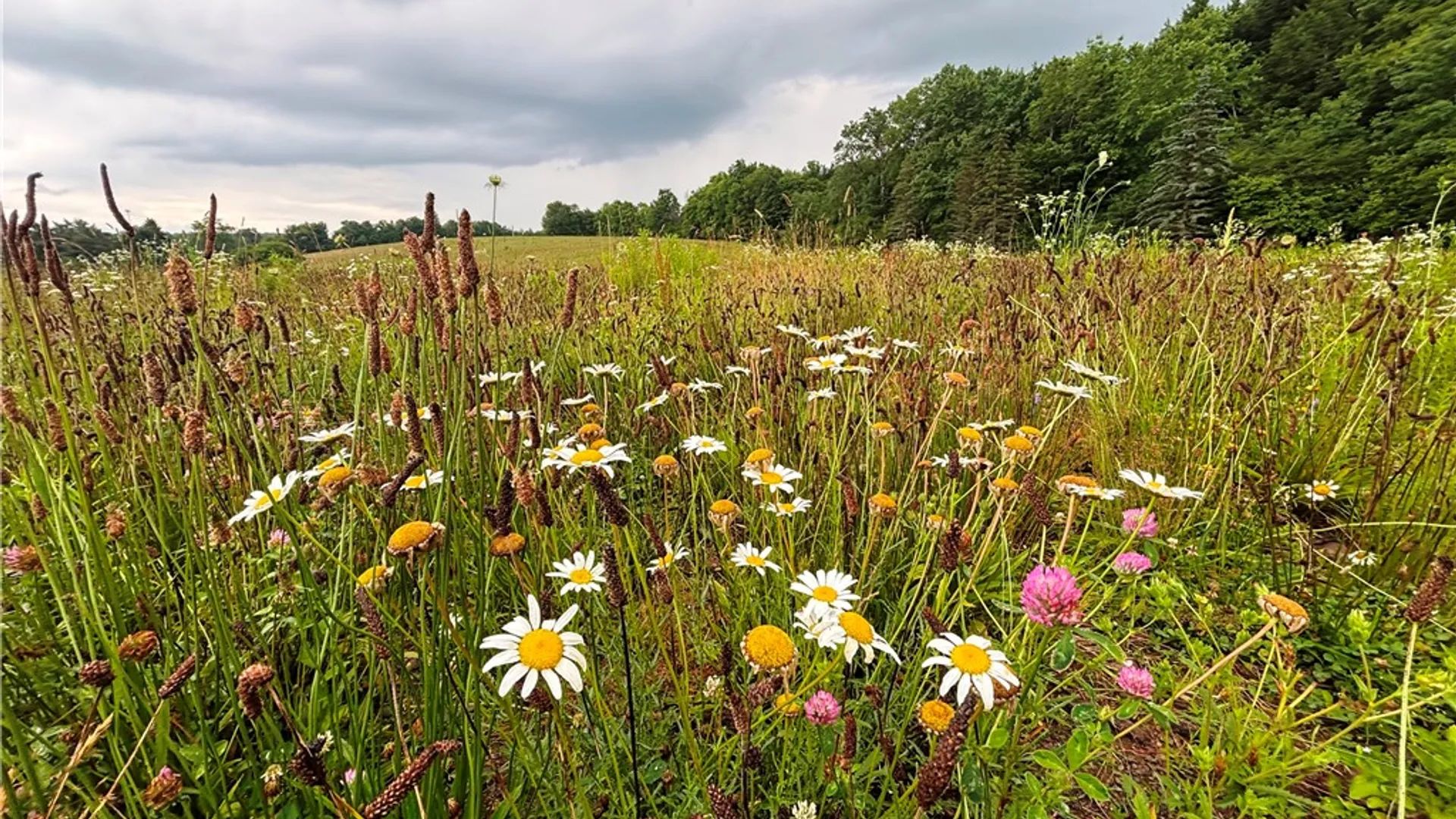 Property at Lot #44 Rt-23, Harpersfield, NY 13786 7