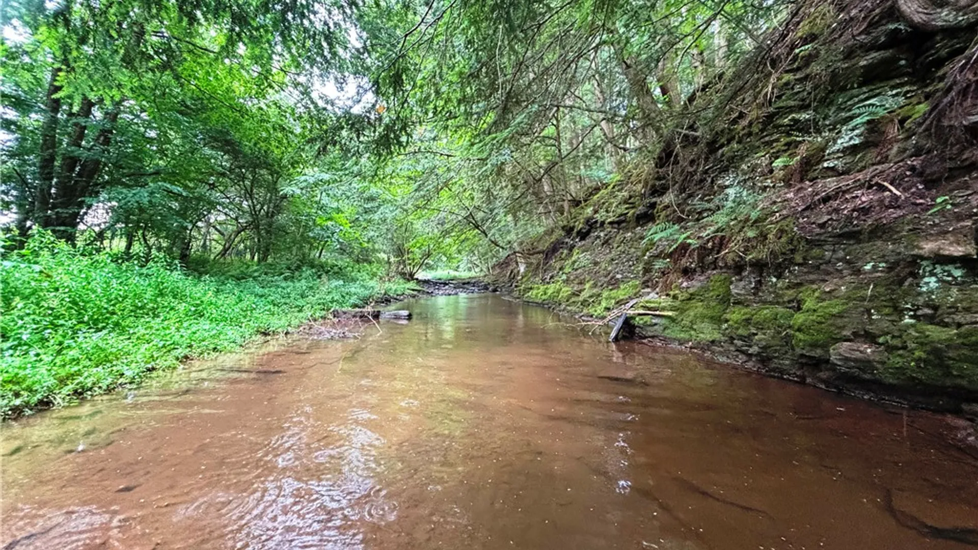Property at Lot #44 Rt-23, Harpersfield, NY 13786 8