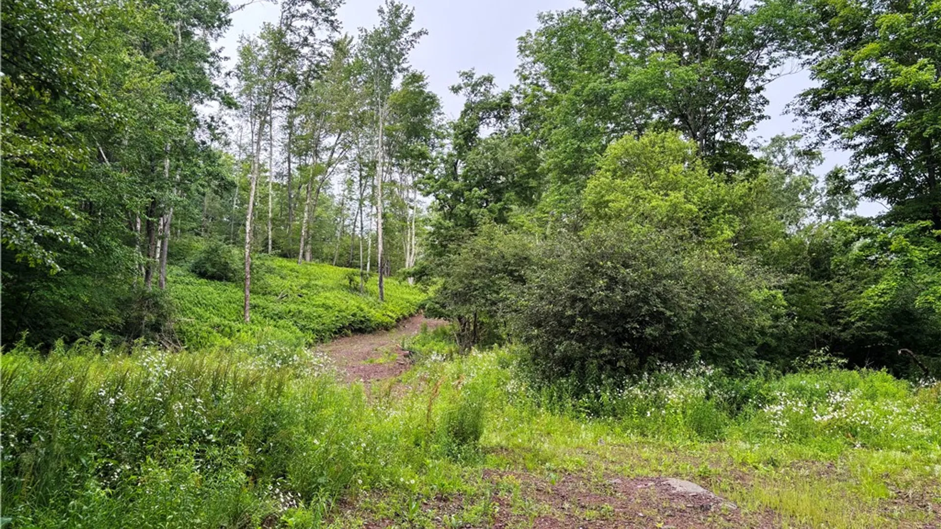 Property at Lot #44 Rt-23, Harpersfield, NY 13786 9