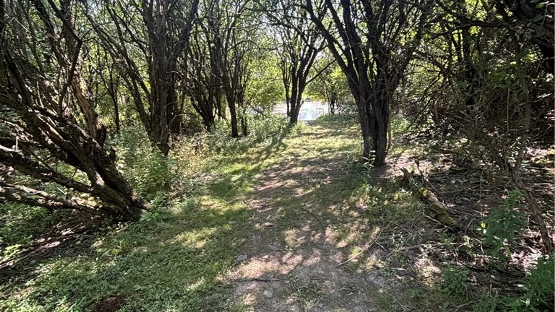 Property at 1868 Hess Road, Andover, NY 14806 23