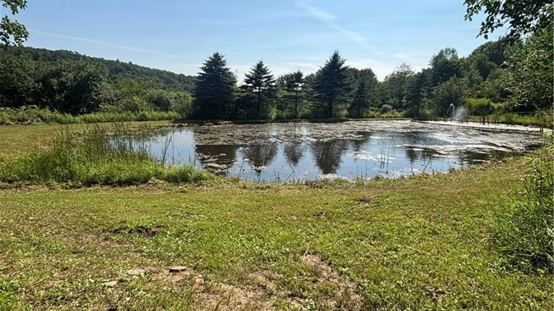 Property at 1868 Hess Road, Andover, NY 14806 25