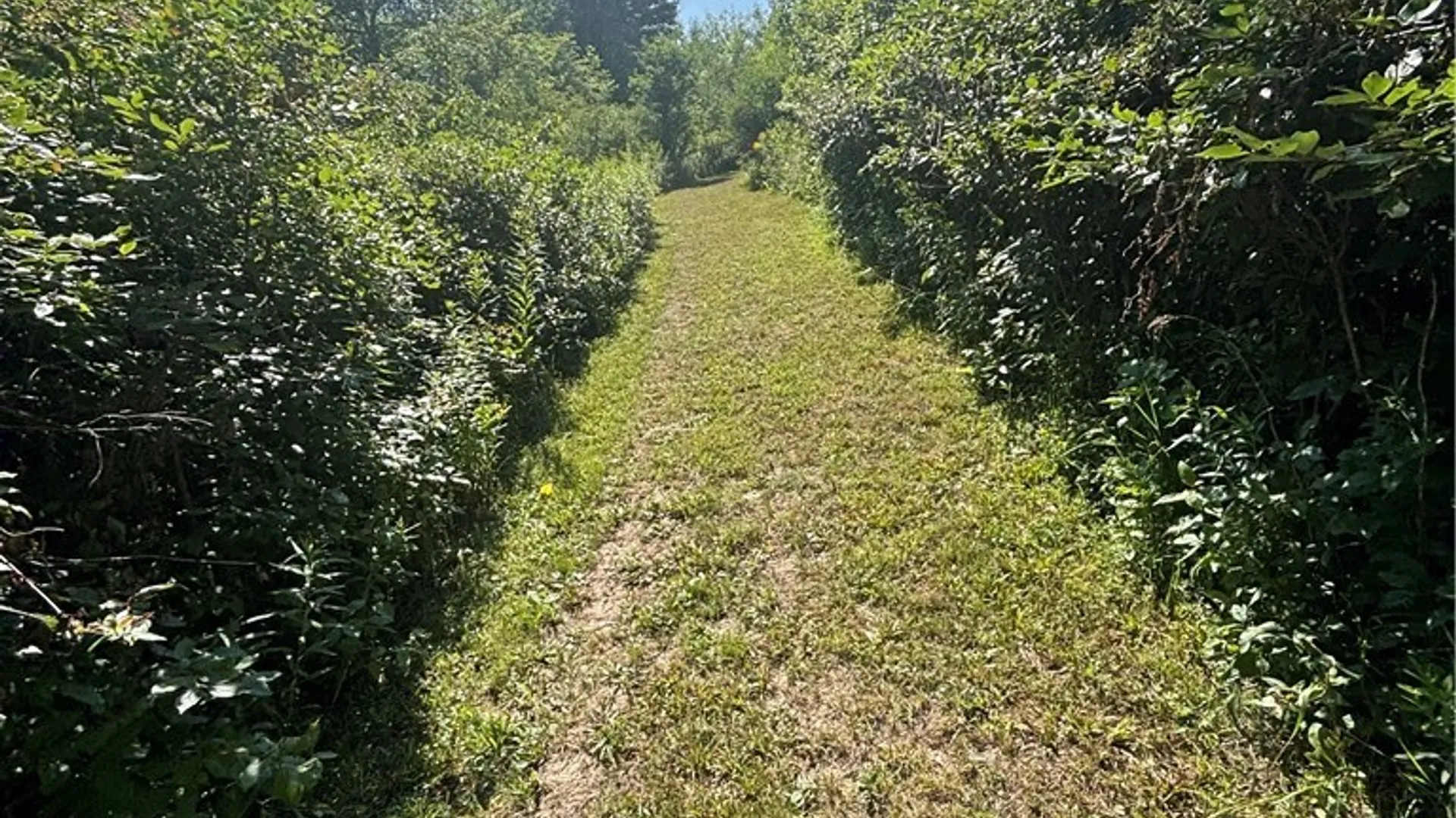 Property at 1868 Hess Road, Andover, NY 14806 27