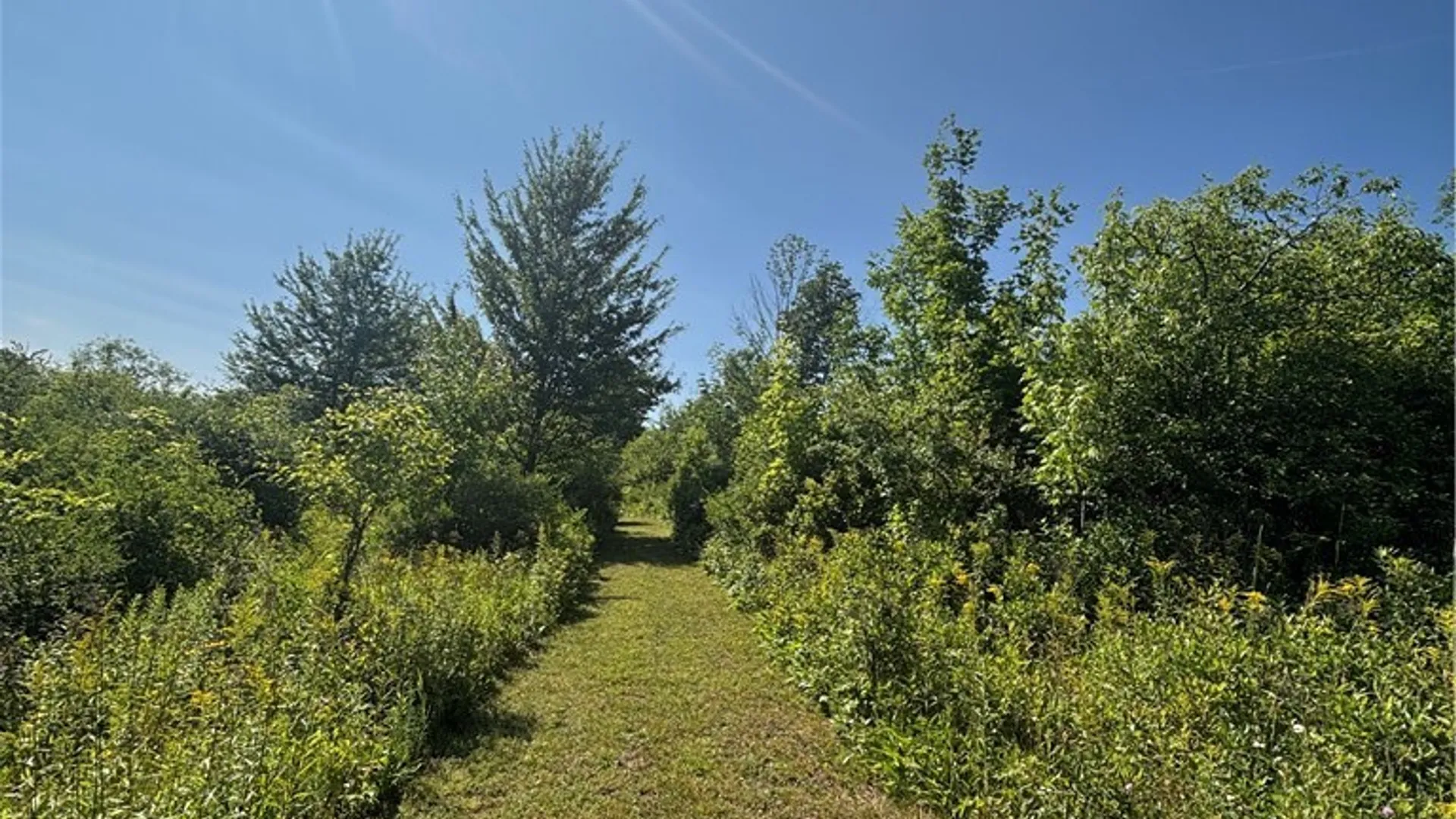 Property at 1868 Hess Road, Andover, NY 14806 28