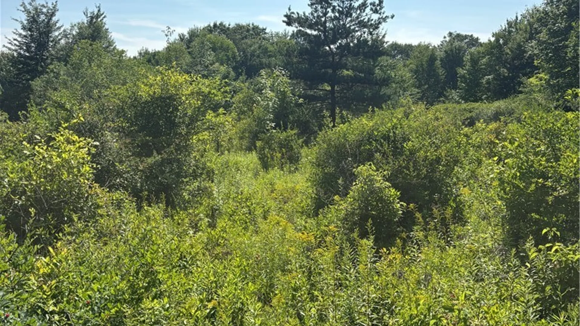 Property at 1868 Hess Road, Andover, NY 14806 29