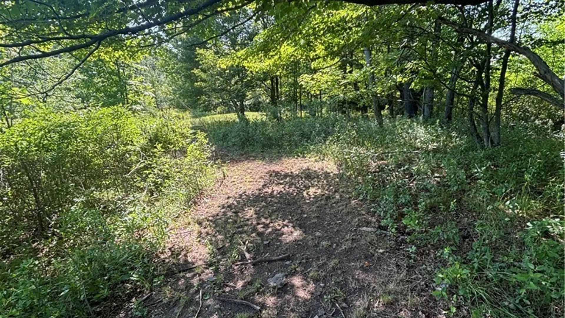 Property at 1868 Hess Road, Andover, NY 14806 30