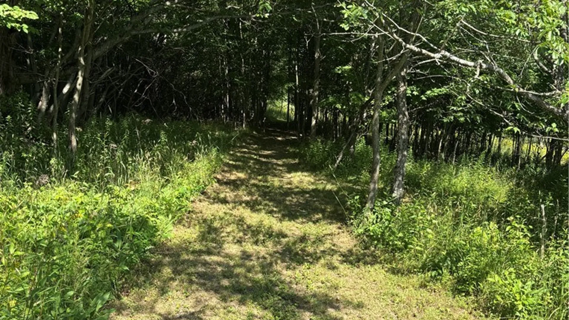 Property at 1868 Hess Road, Andover, NY 14806 32