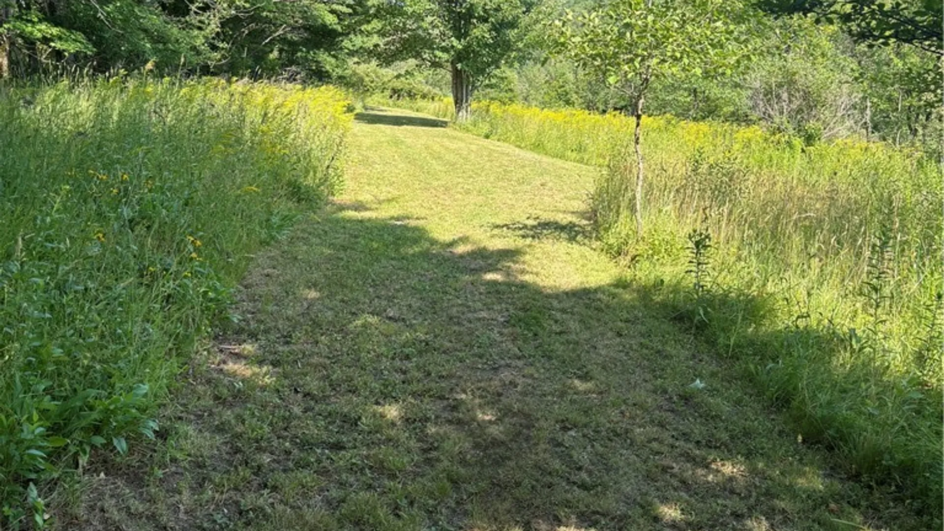 Property at 1868 Hess Road, Andover, NY 14806 33