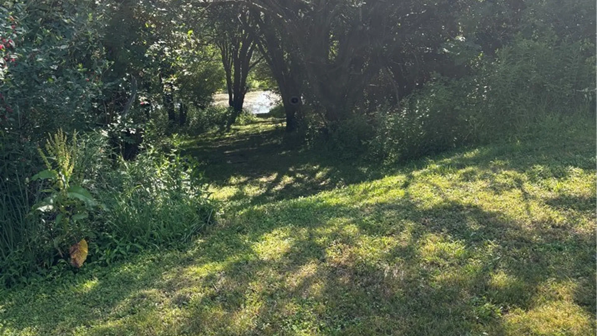 Property at 1868 Hess Road, Andover, NY 14806 34