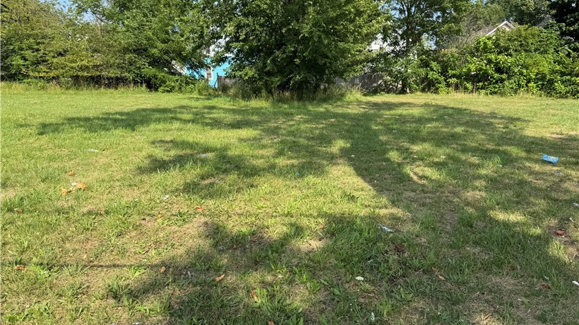 Property at 217 Madison Street, Buffalo, NY 14206 2