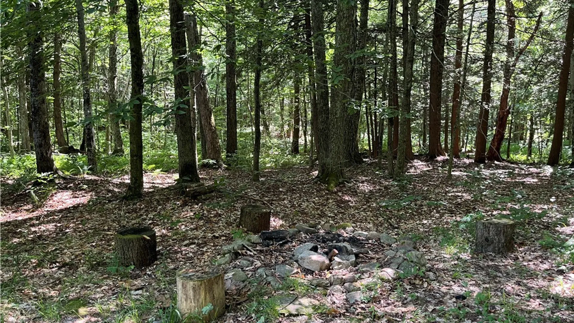Property at 0 Hayloft Trail, Redfield, NY 13493 5