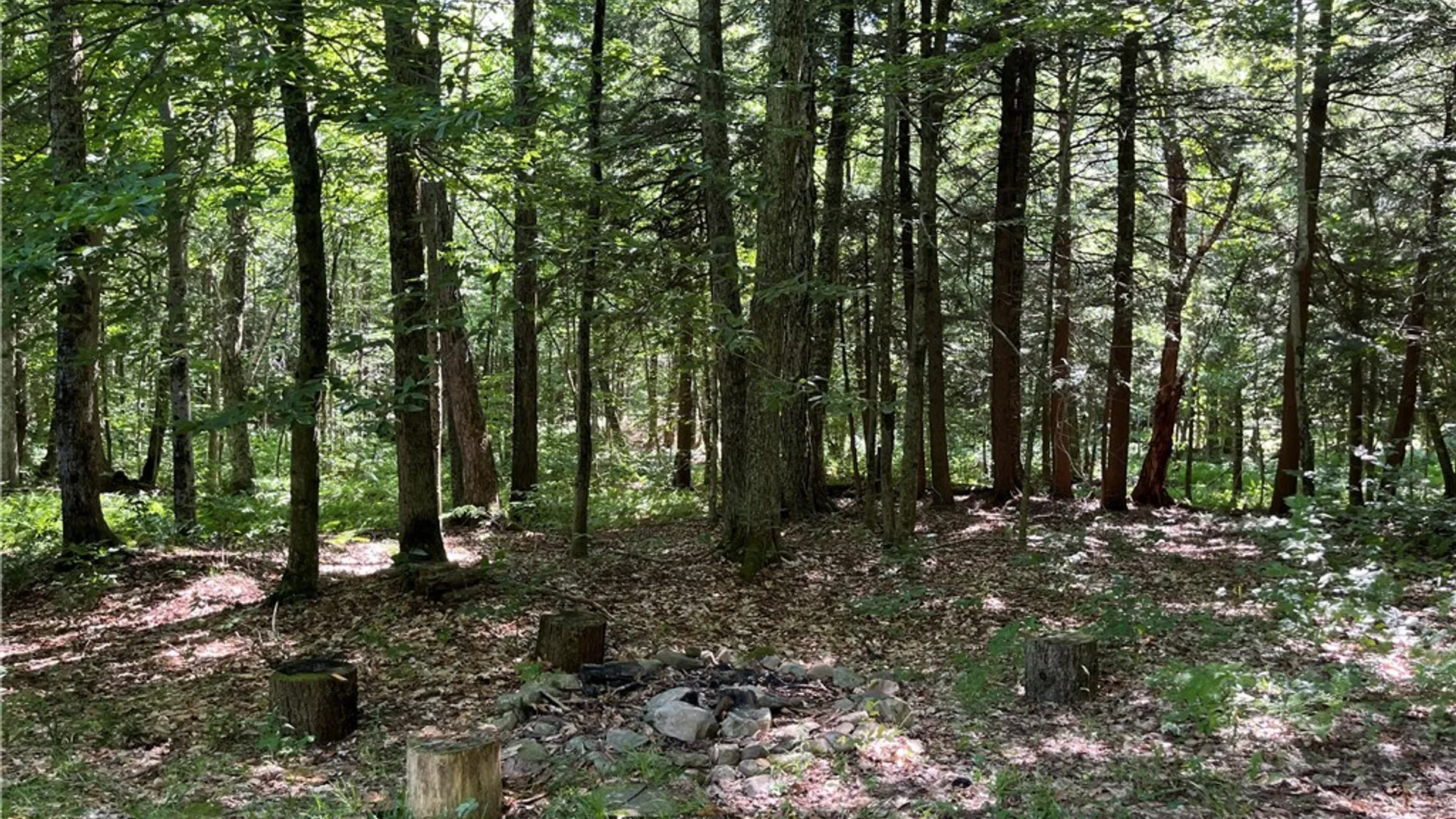 Property at 0 Hayloft Trail, Redfield, NY 13493 4