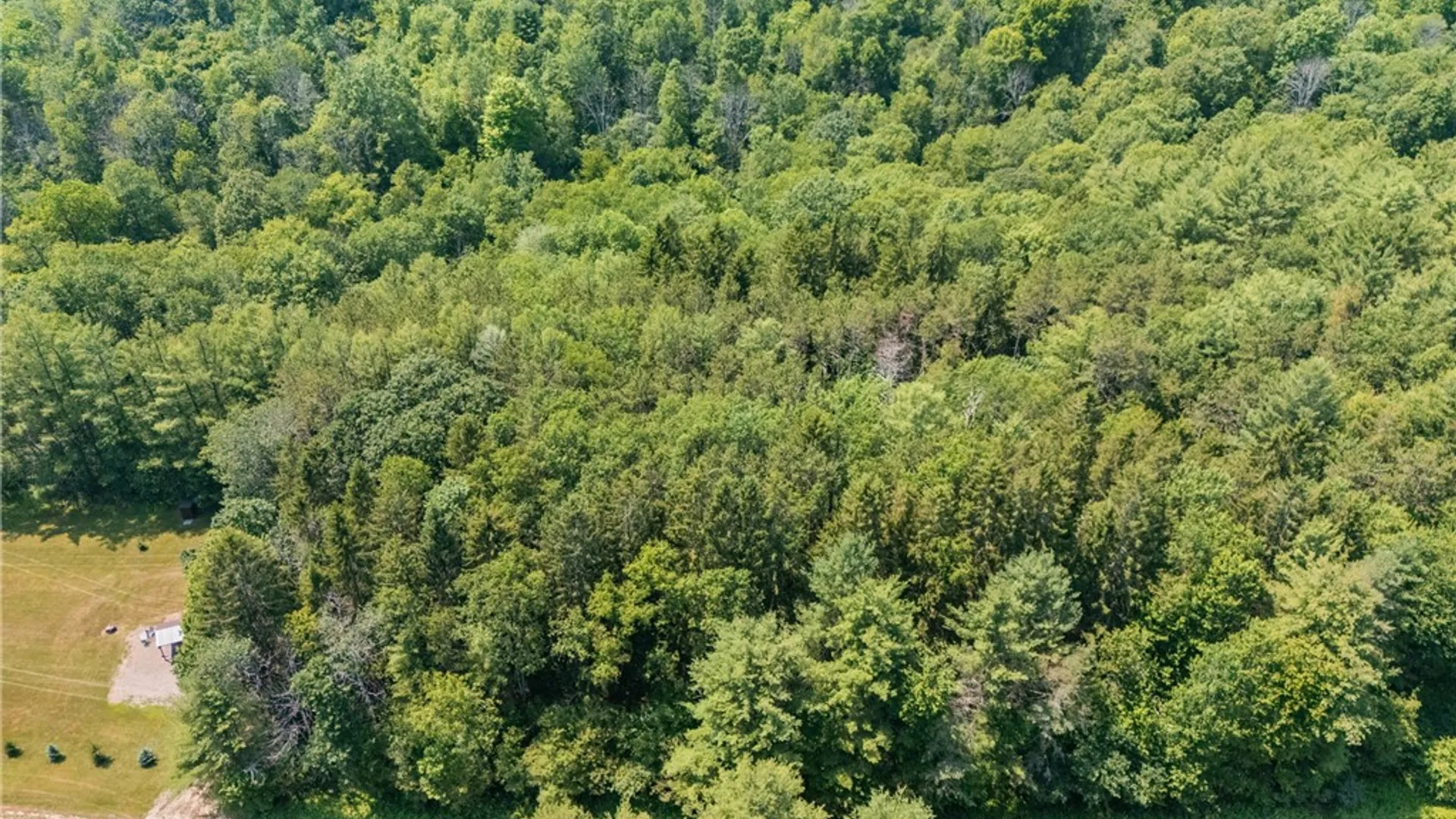 Property at 8357 Middle Road, Angelica, NY 14709 29