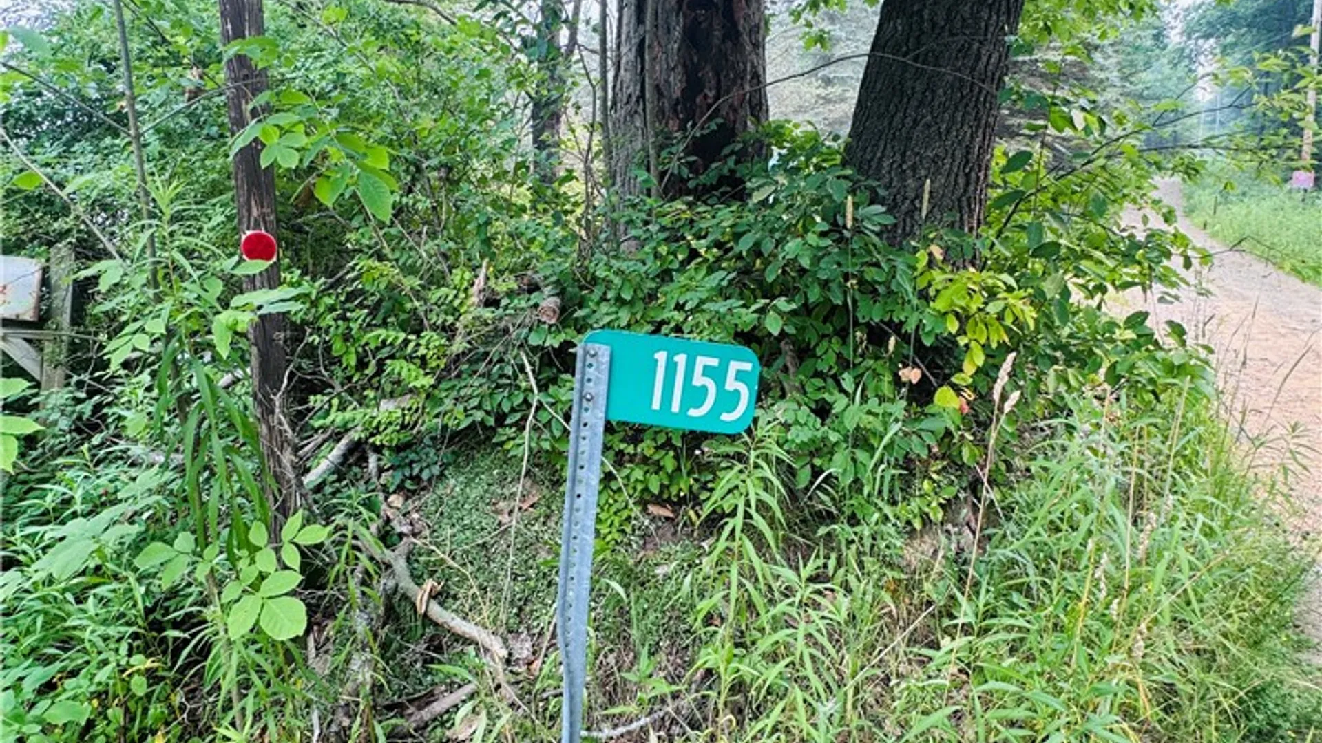 Property at 2446 Red Fox Road, Portville, NY 14770 32