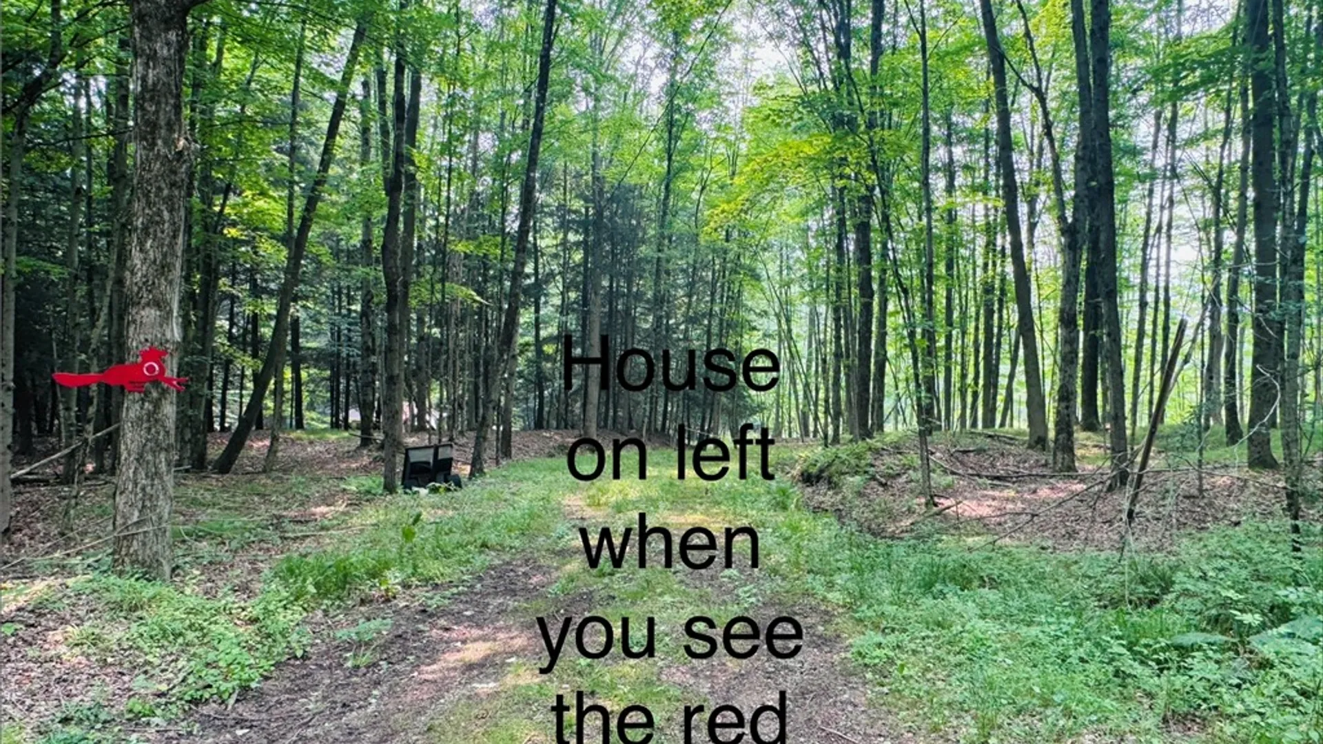 Property at 2446 Red Fox Road, Portville, NY 14770 39