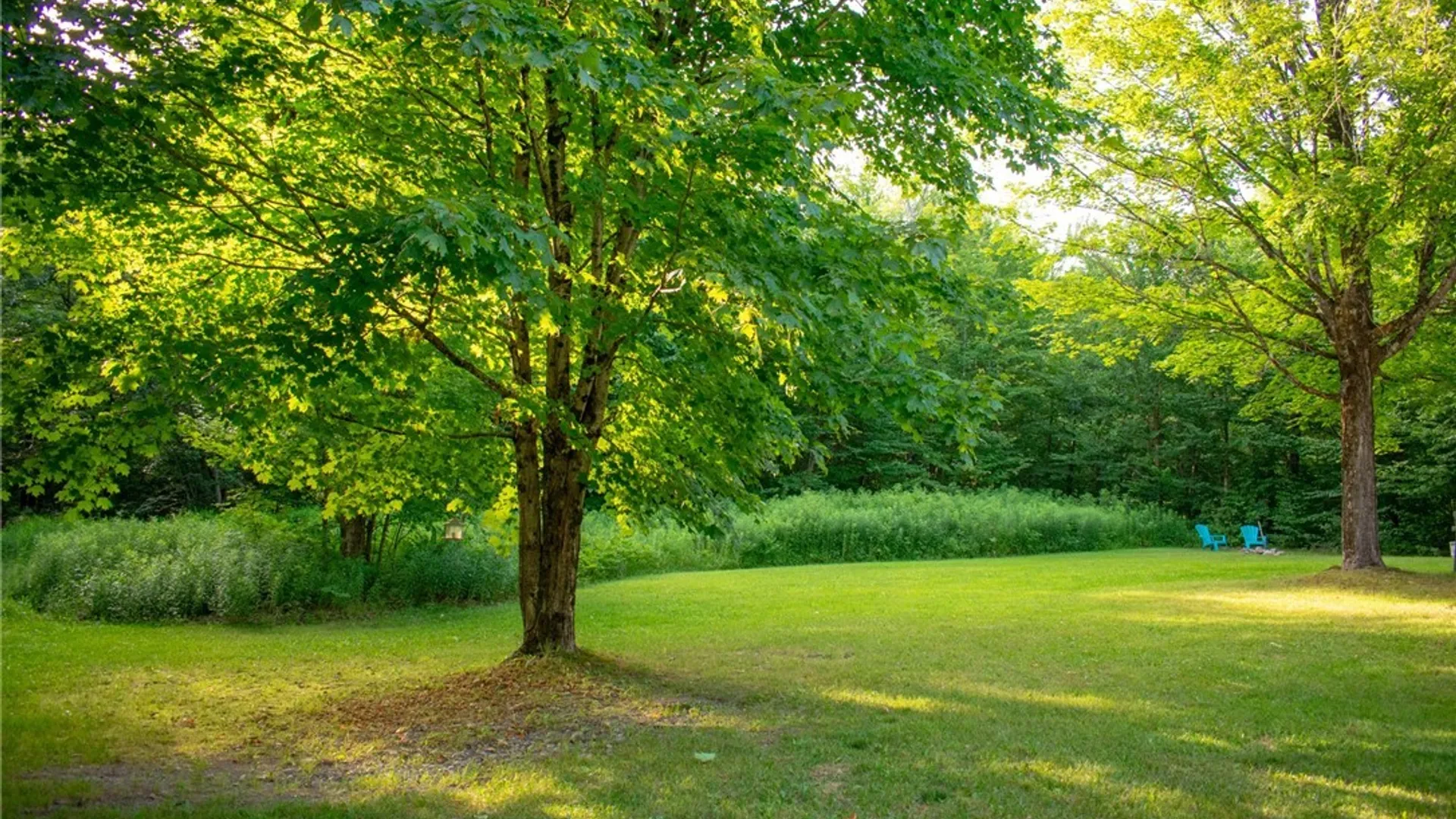 Property at 2249 Kumrow Road, Osceola, NY 13316 41