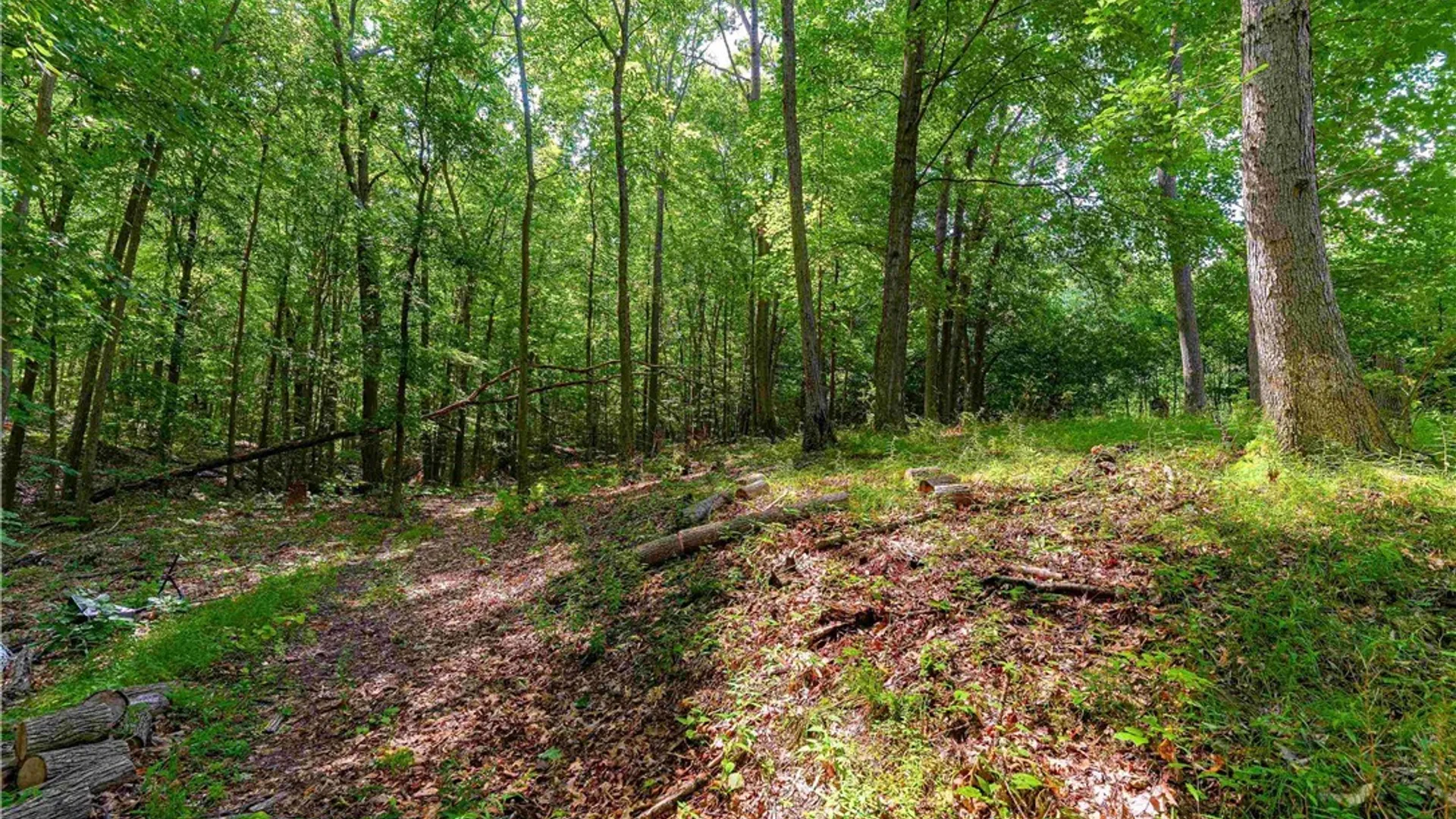 Property at 10180 State Route 230, Wayne, NY 14840 28