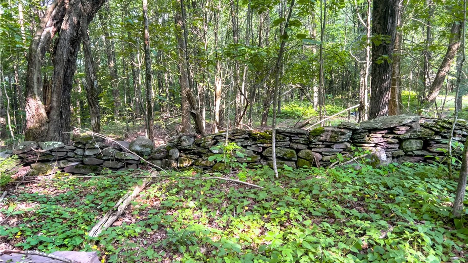 Property at 1534 Brownell Road, Kortright, NY 13739 49