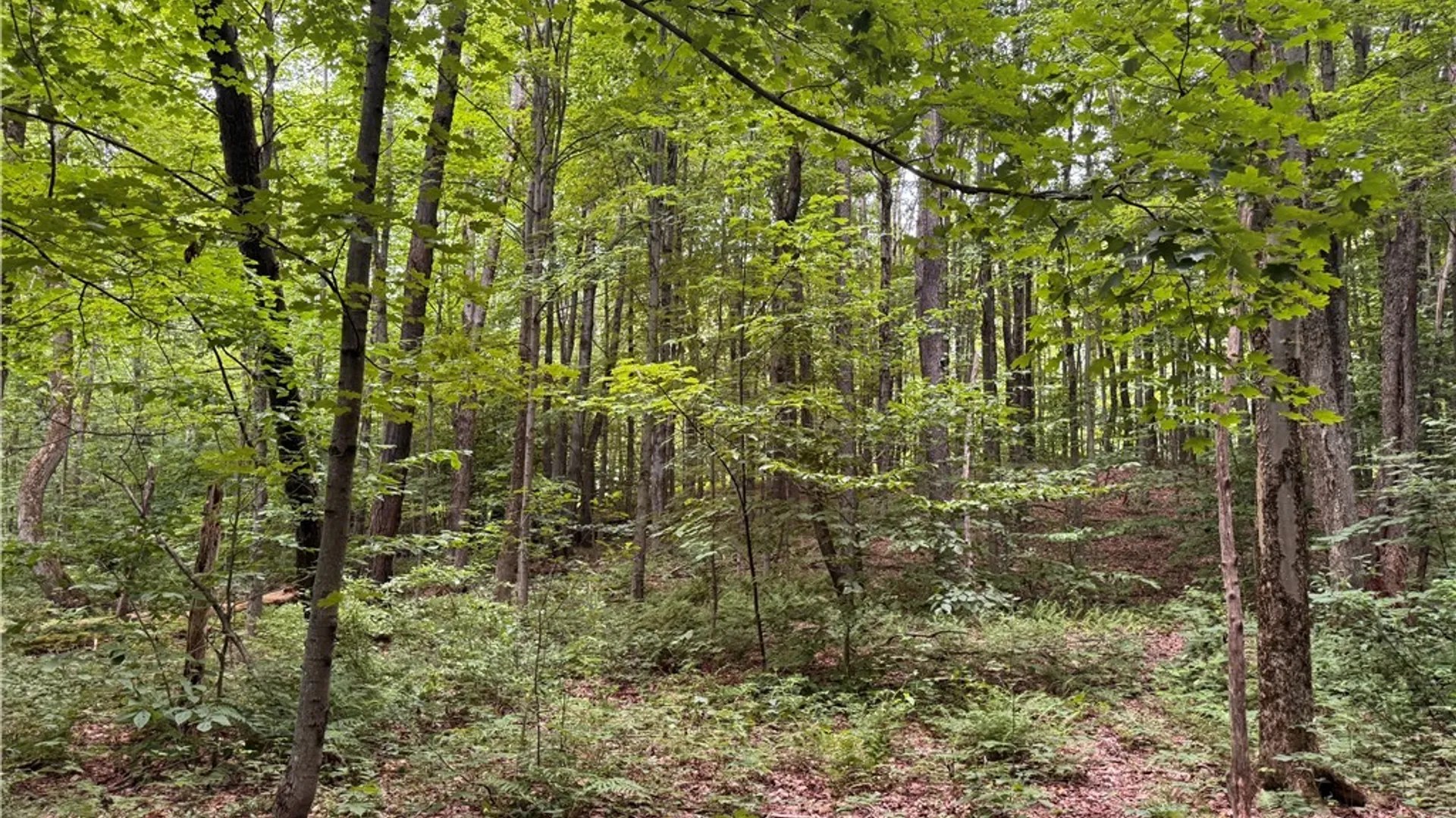 Property at 3244 County Route 22, Orwell, NY 13144 19