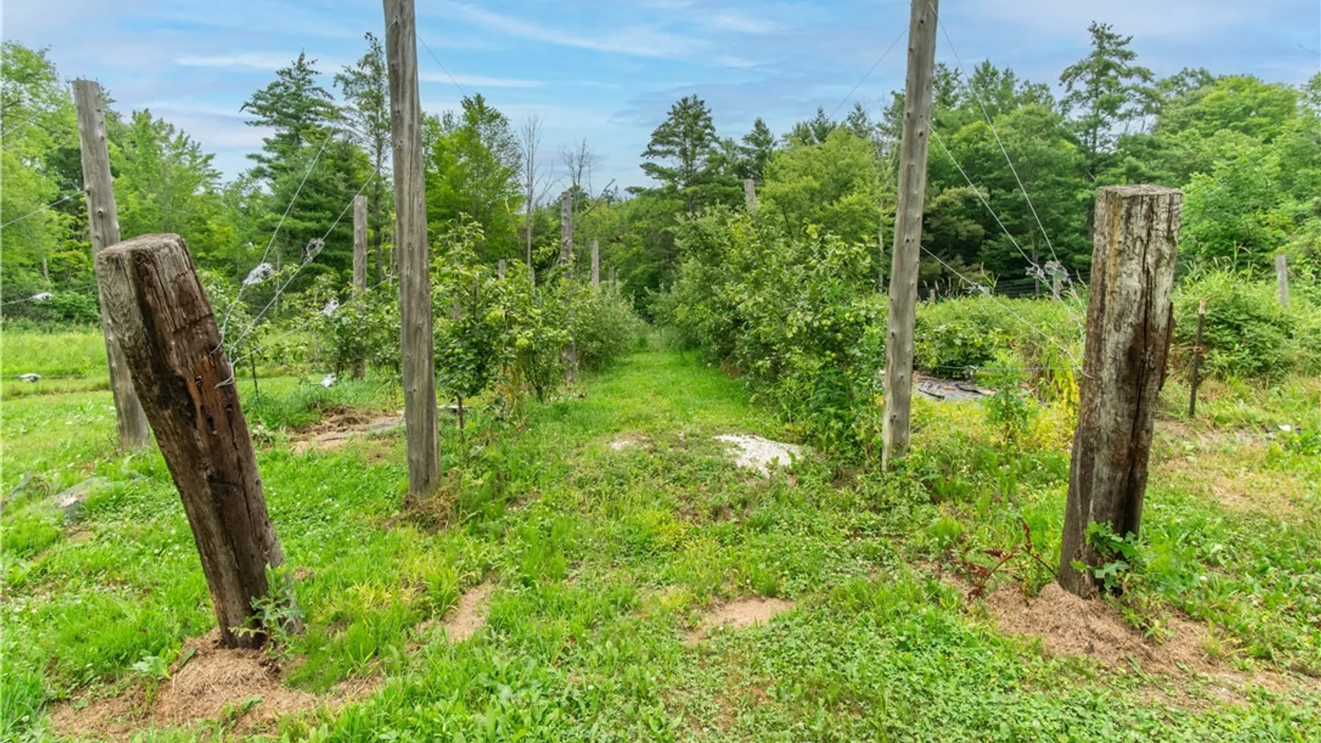 Property at 42281 Honey Hill Road, Theresa, NY 13691 43