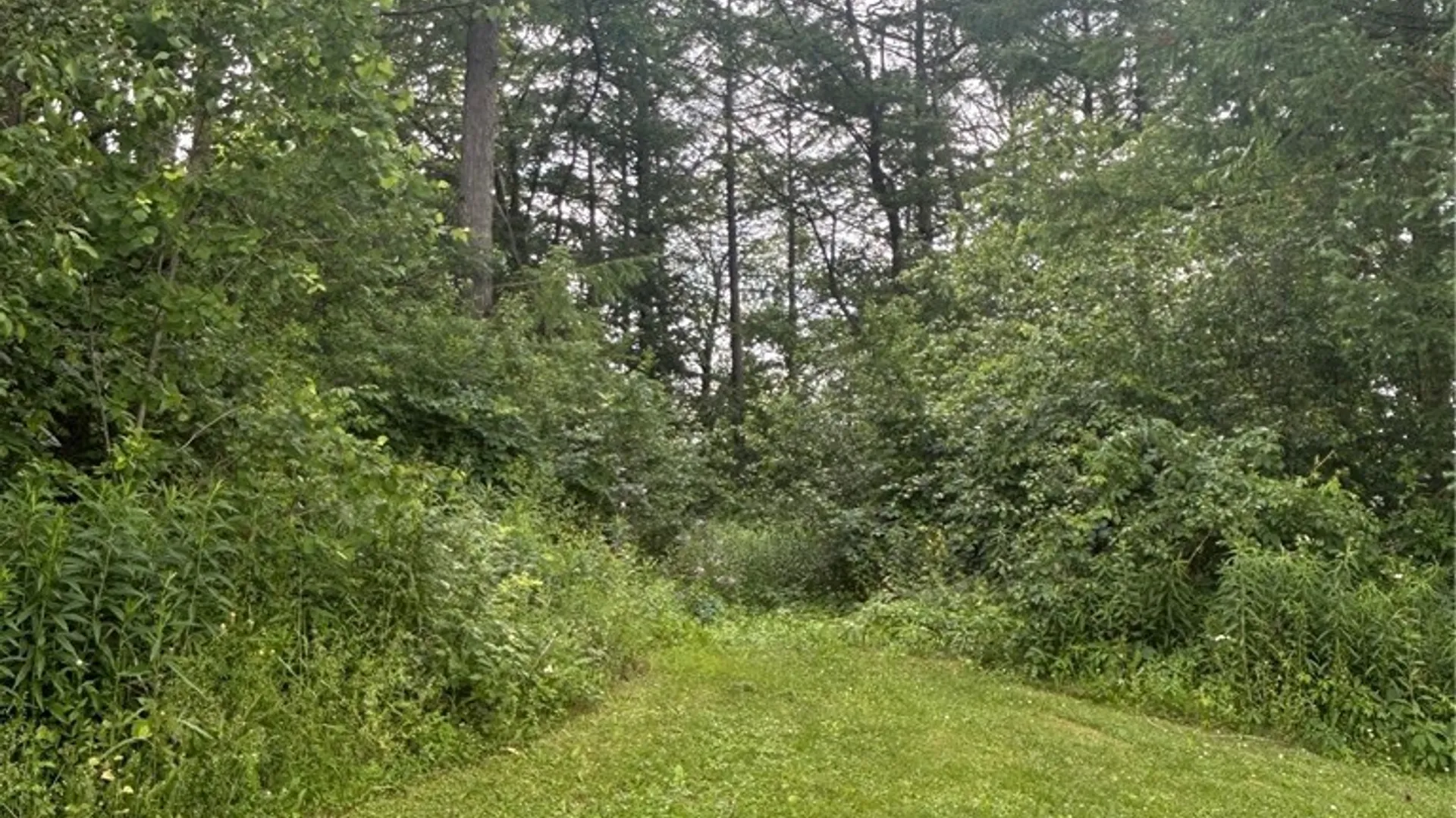 Property at 1020 Gallagher Rd Road, Cortlandville, NY 13045 35