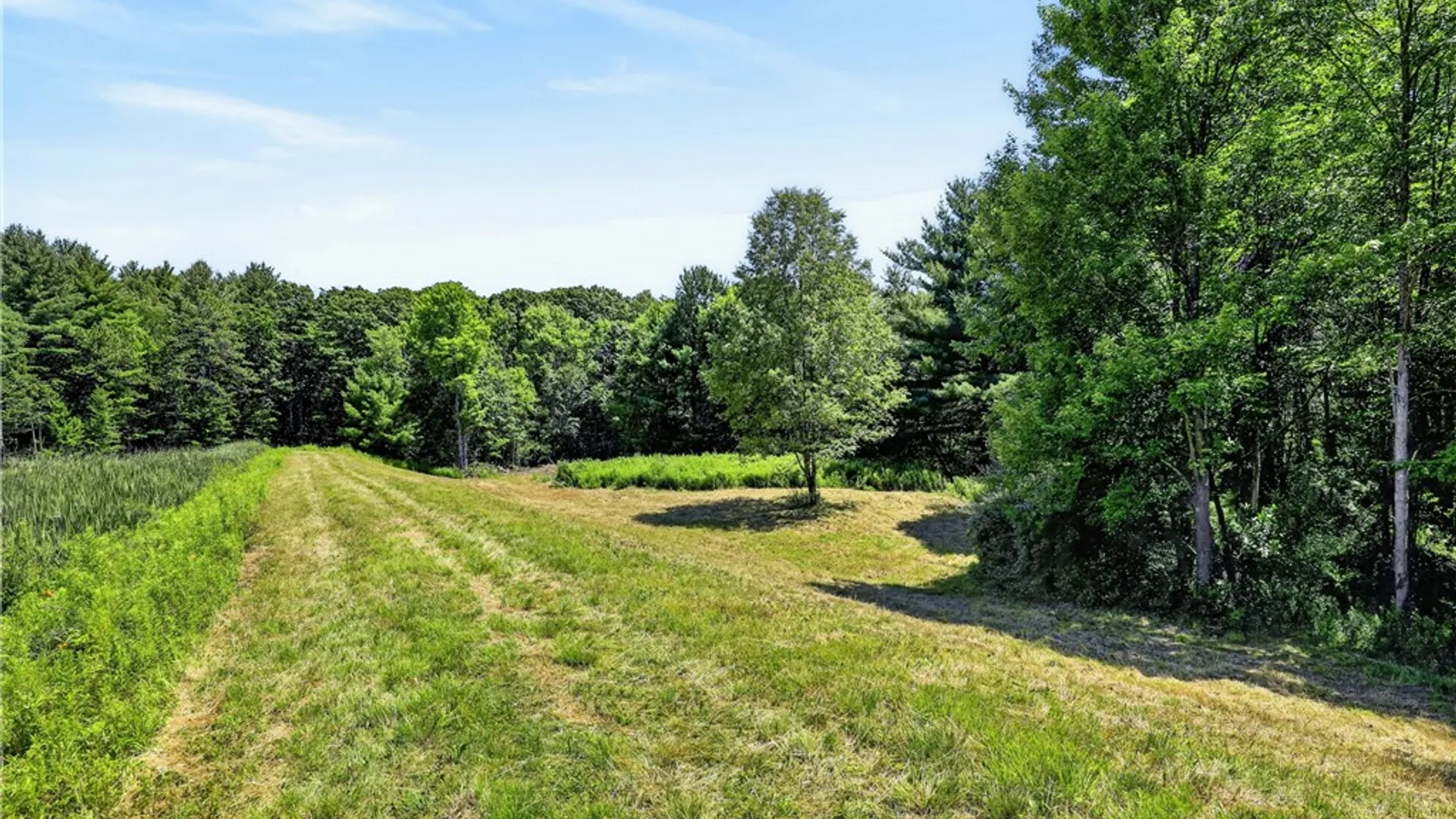 Property at 319 Reniff Road, Baldwin, NY 14859 19