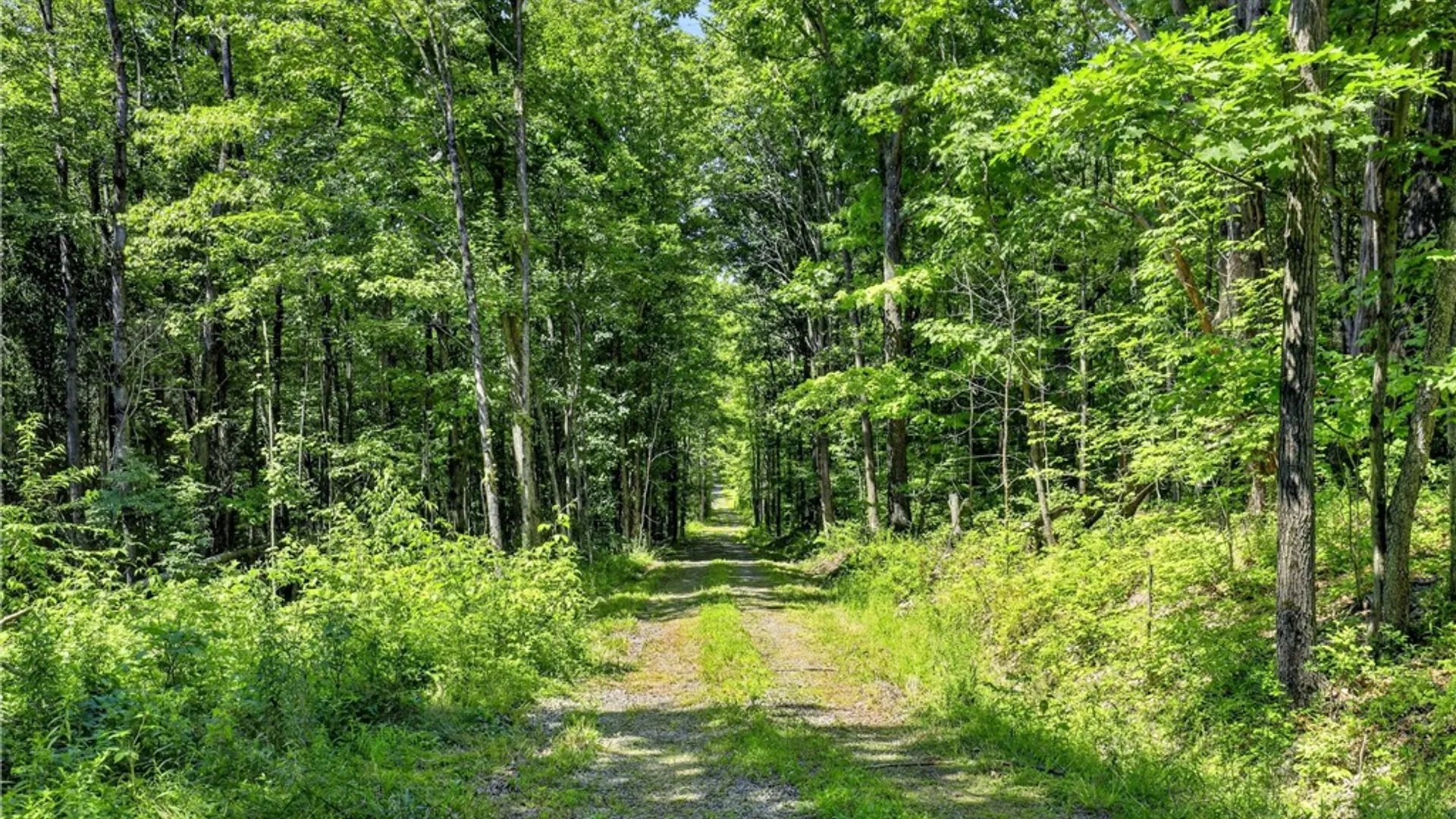 Property at 319 Reniff Road, Baldwin, NY 14859 24