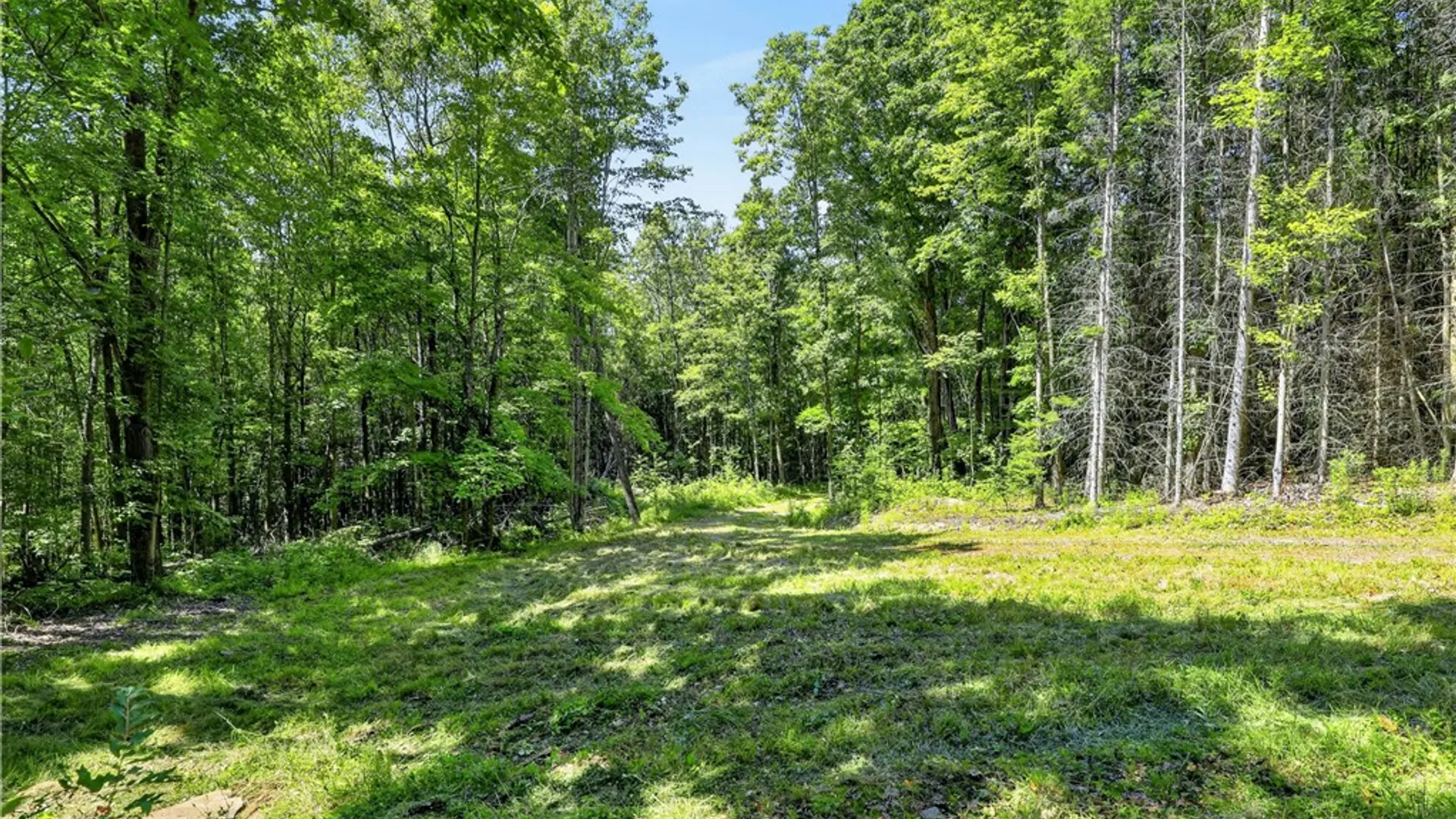 Property at 319 Reniff Road, Baldwin, NY 14859 25