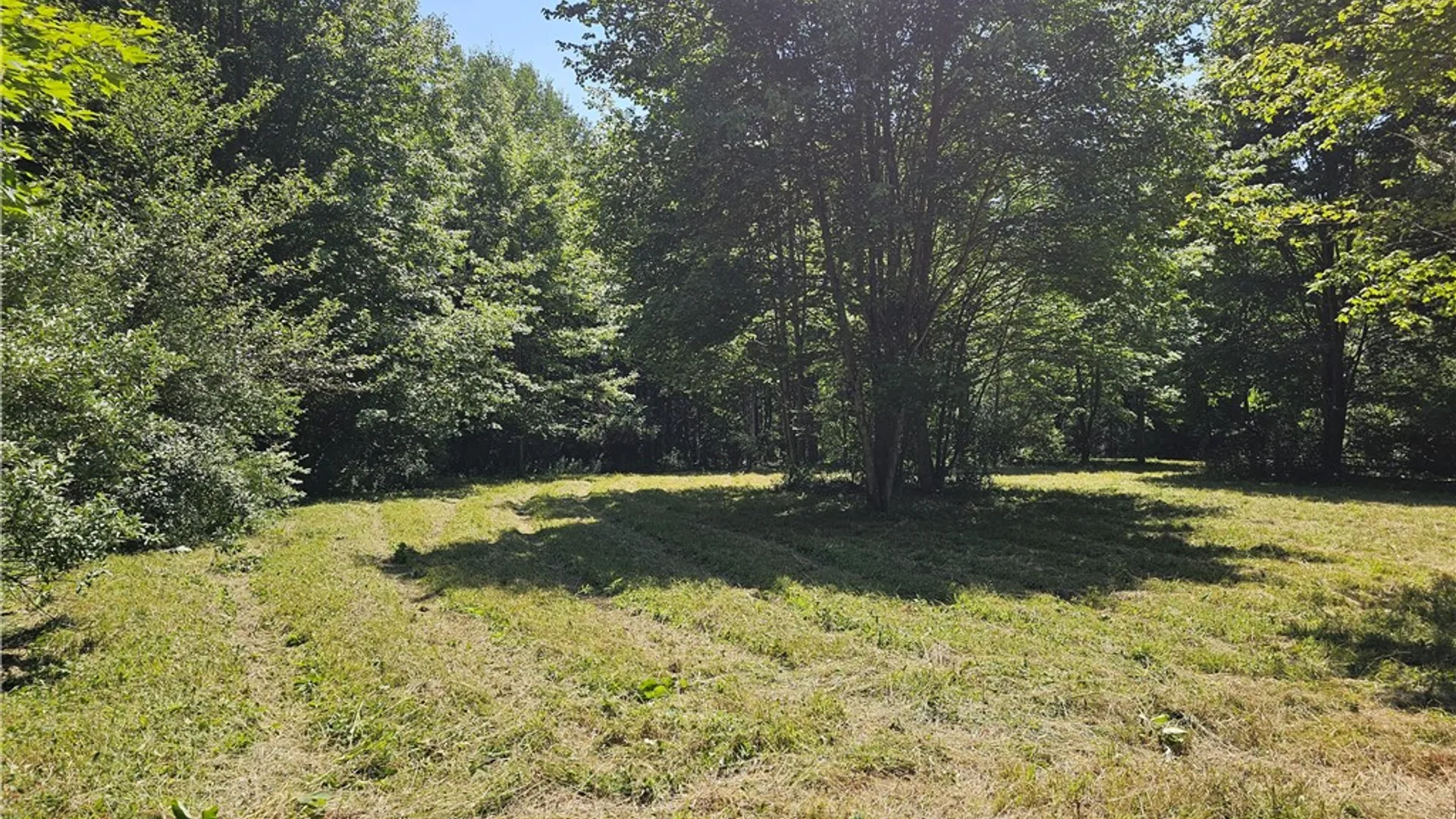 Property at 319 Reniff Road, Baldwin, NY 14859 37