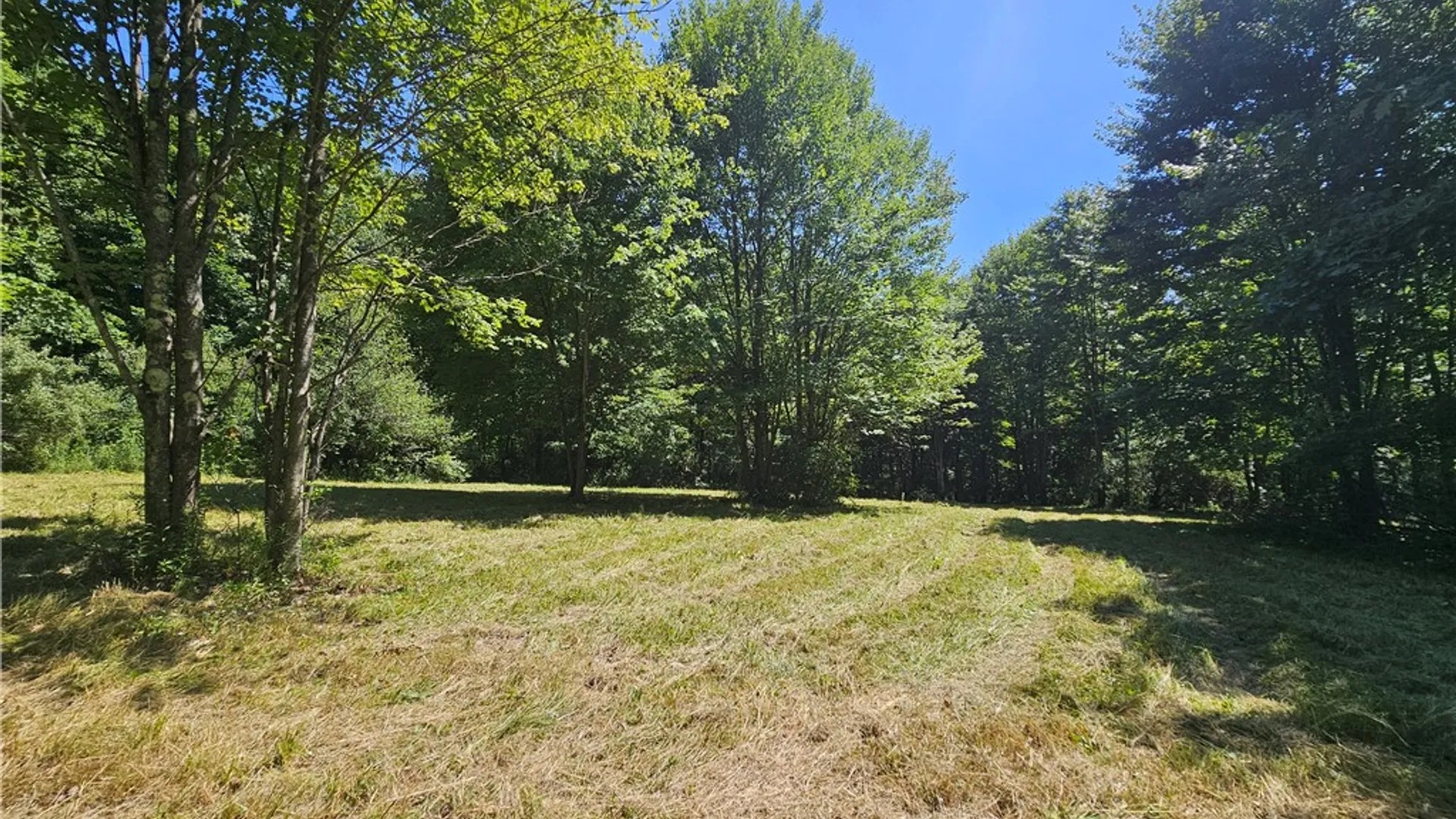 Property at 319 Reniff Road, Baldwin, NY 14859 39