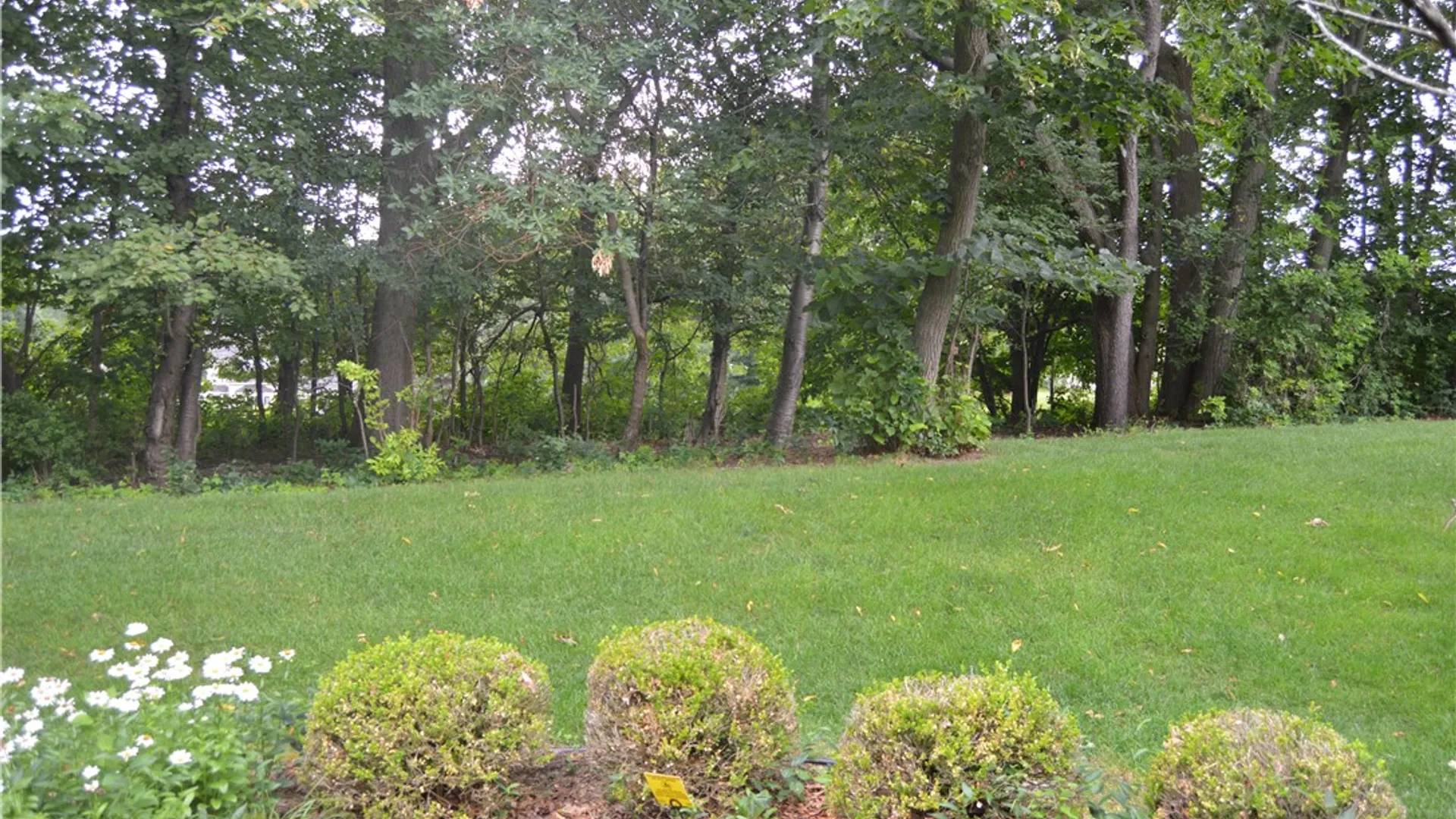 Property at 11 Harrington Drive, Perinton, NY 14450 37