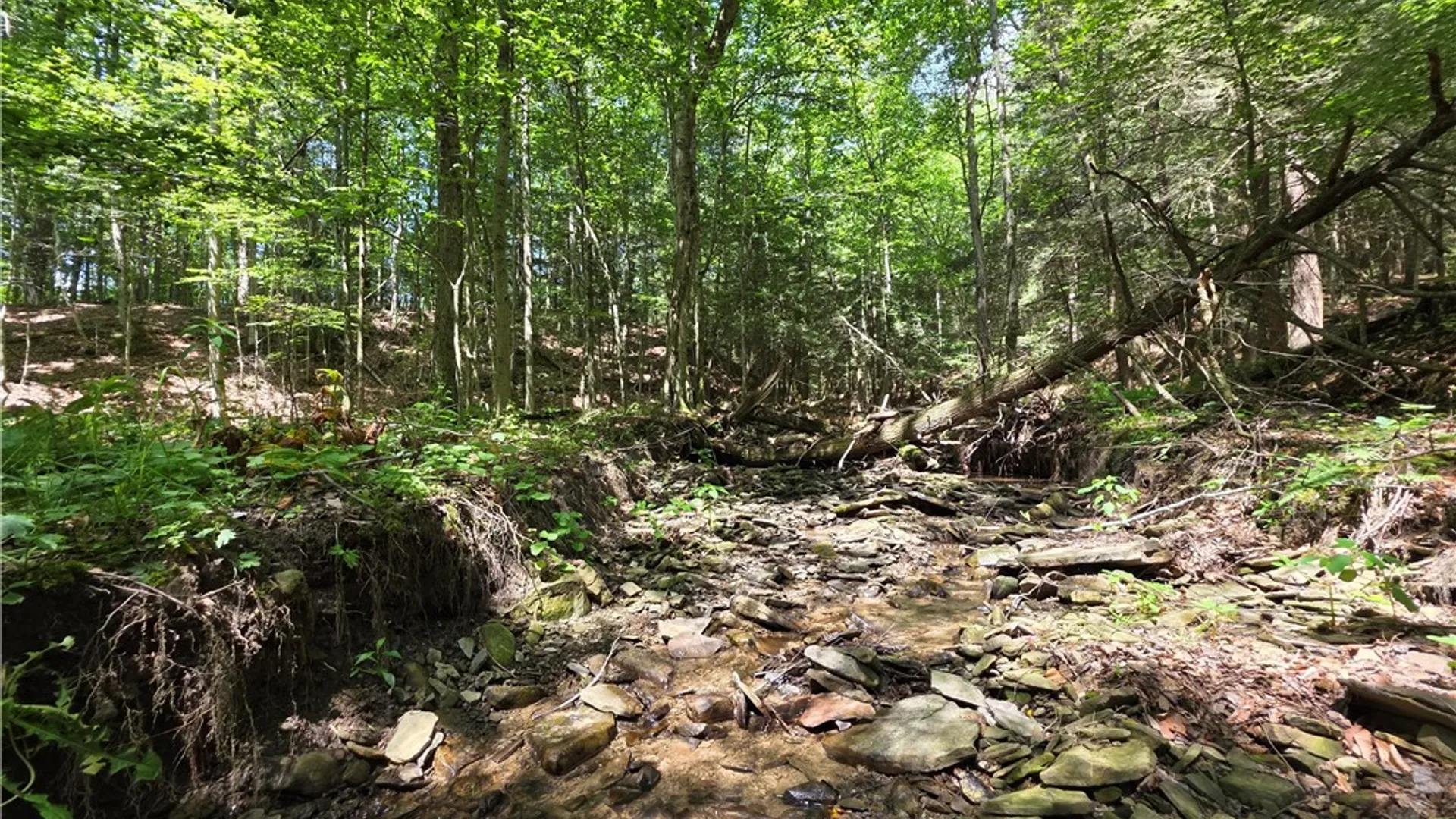 Property at 2057 Wycoff Road, Jasper, NY 14855 34