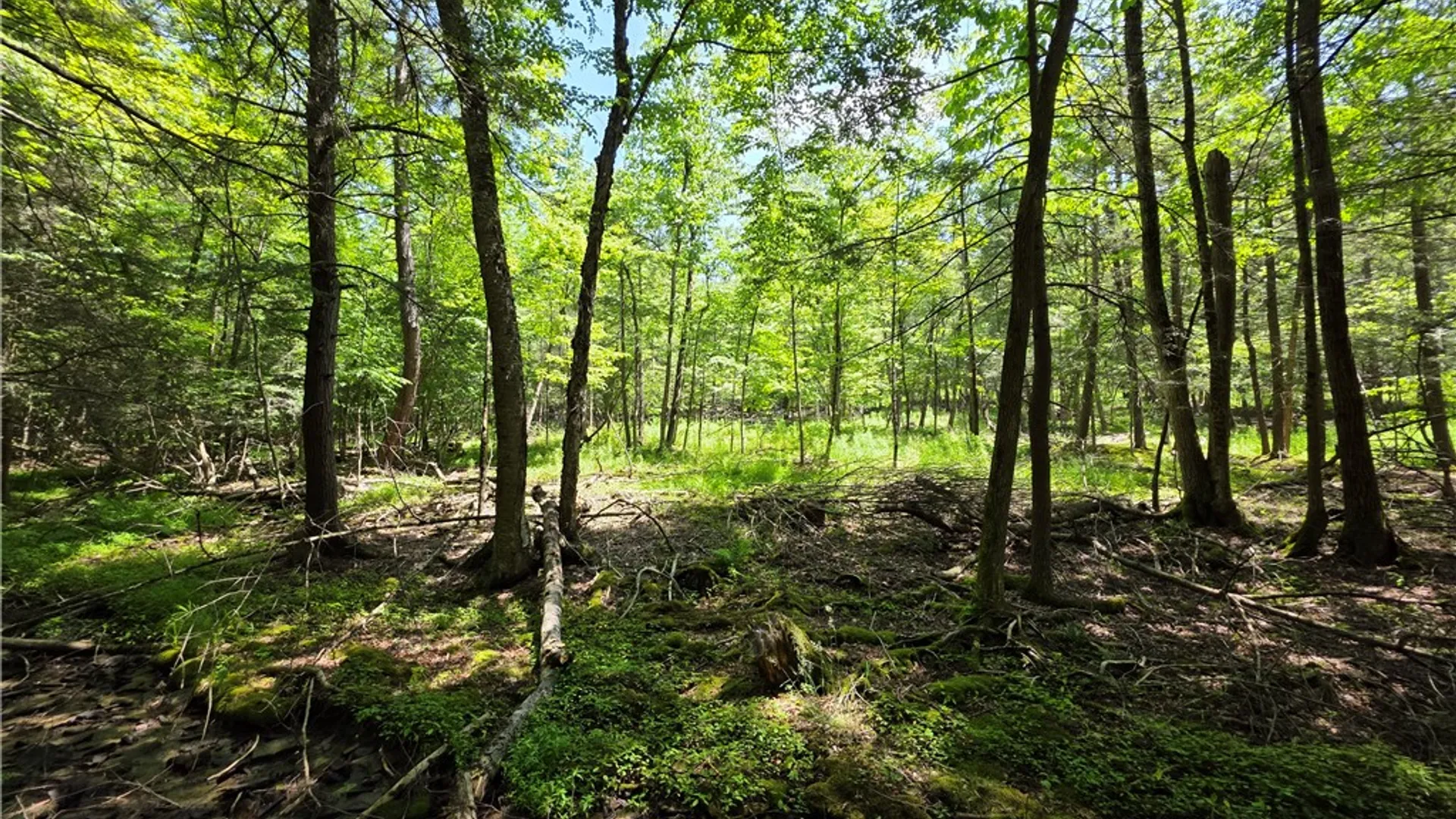 Property at 2057 Wycoff Road, Jasper, NY 14855 35
