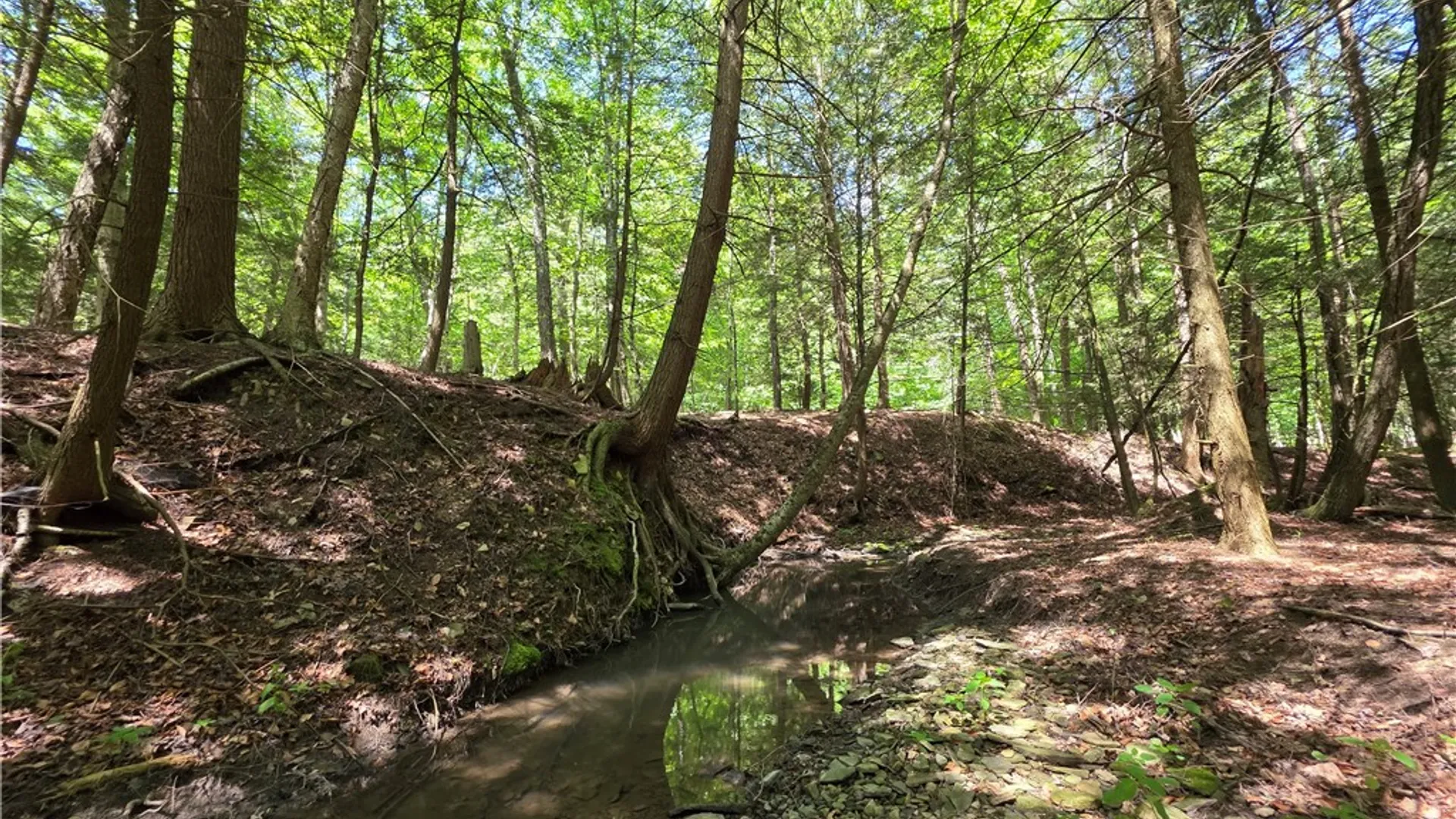 Property at 2057 Wycoff Road, Jasper, NY 14855 37