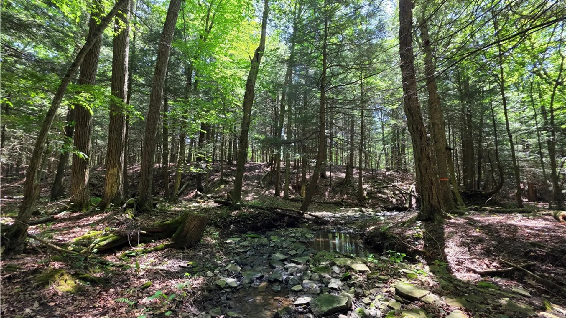 Property at 2057 Wycoff Road, Jasper, NY 14855 38