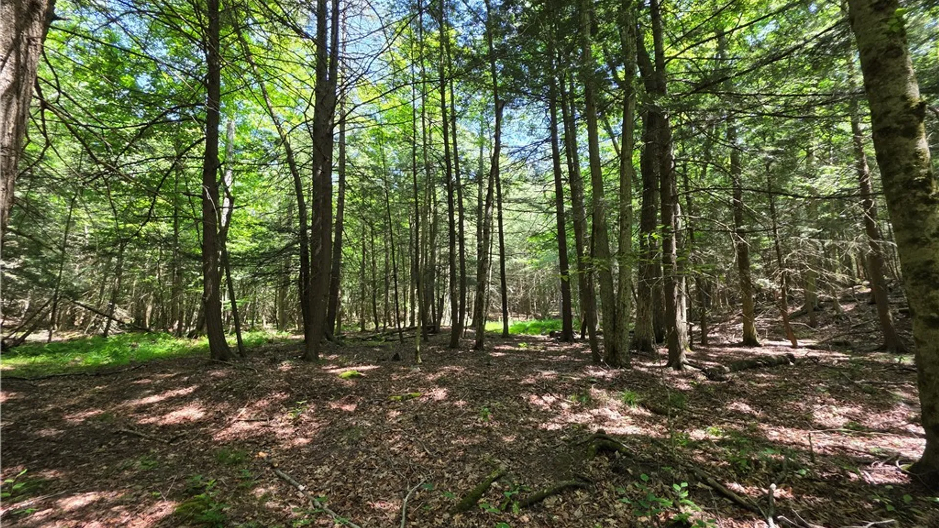 Property at 2057 Wycoff Road, Jasper, NY 14855 39