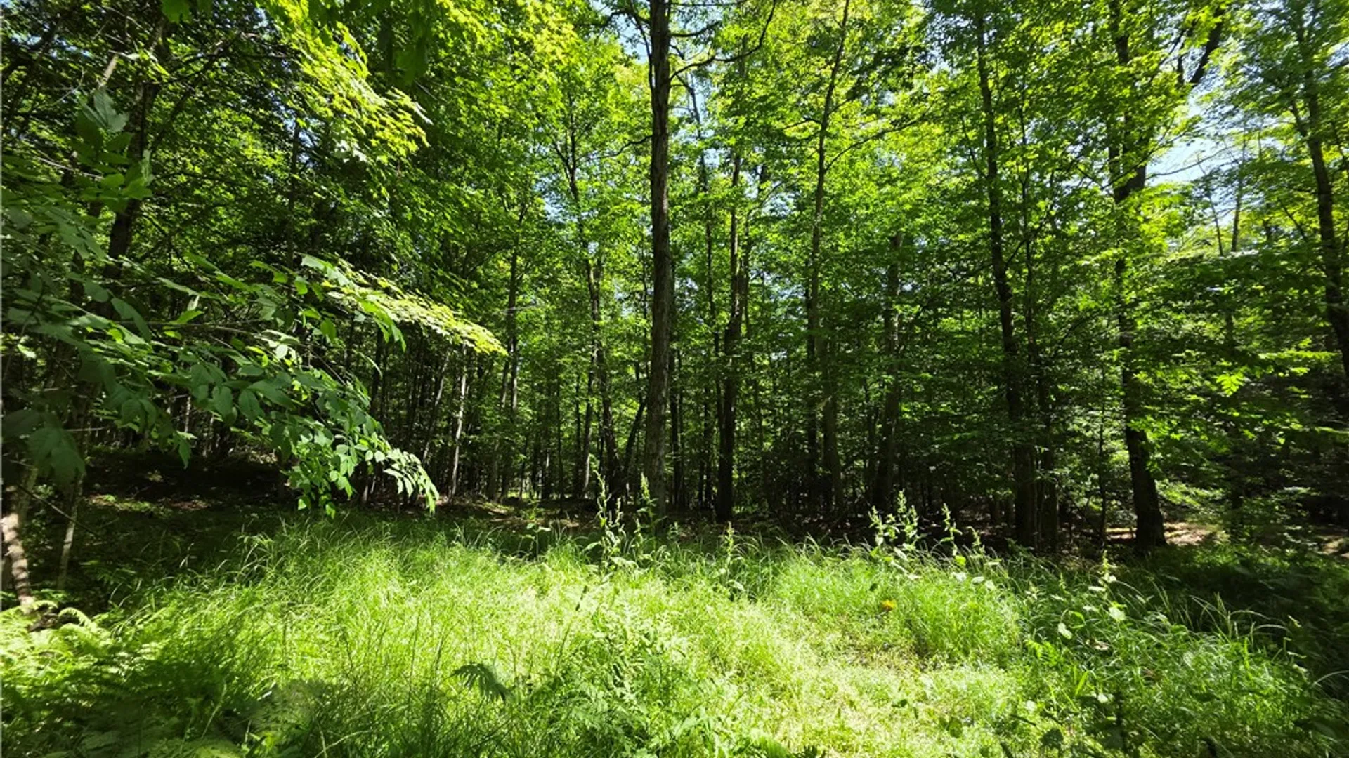 Property at 2057 Wycoff Road, Jasper, NY 14855 40