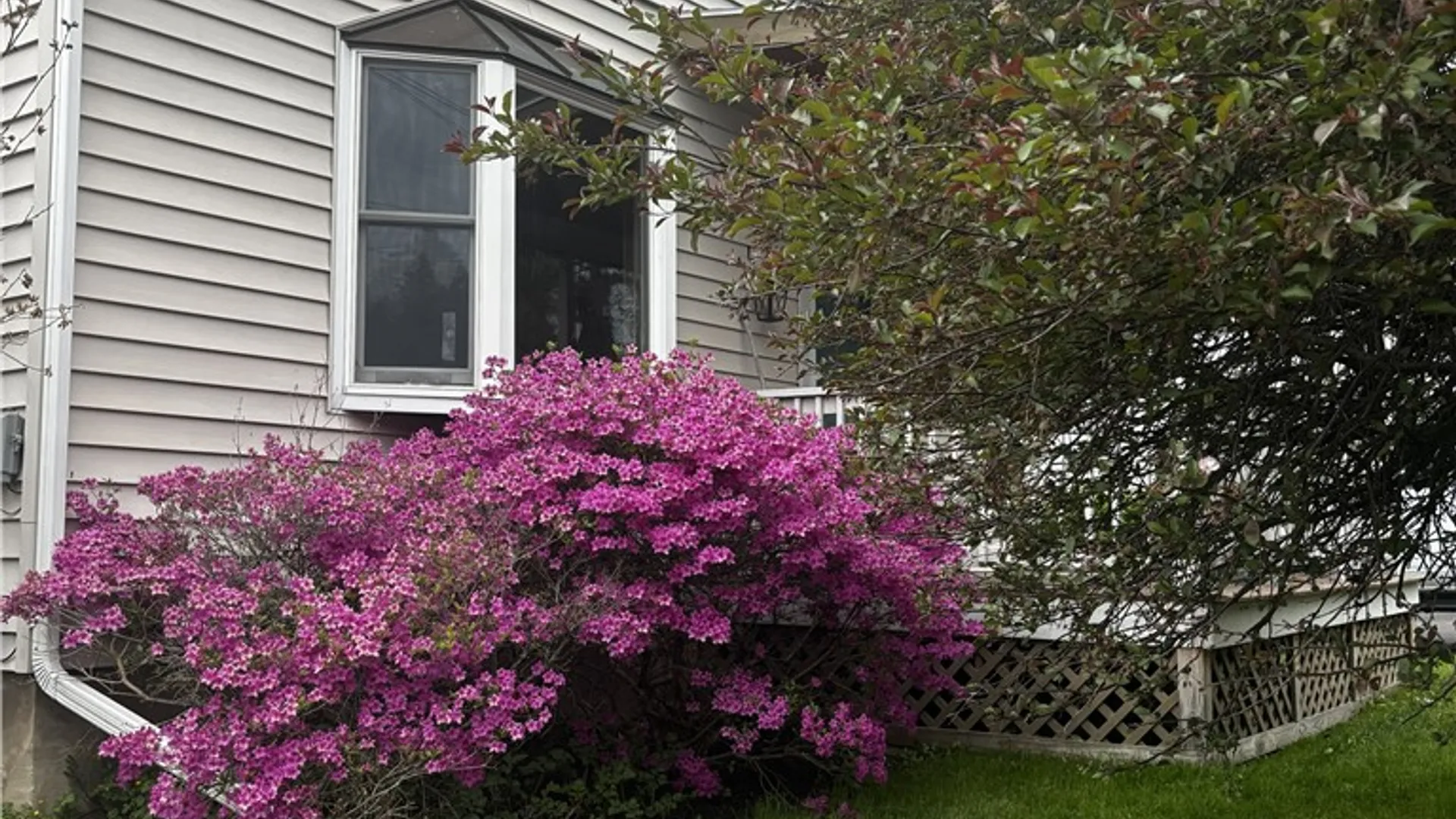 Property at 315 Glen Avenue, Elmira, NY 14905 2