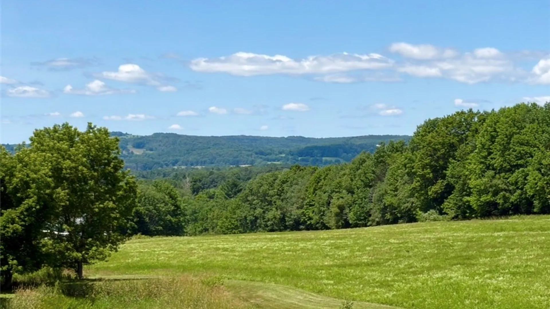 Property at 291 Camp Road, Pittsfield, NY 13411 2