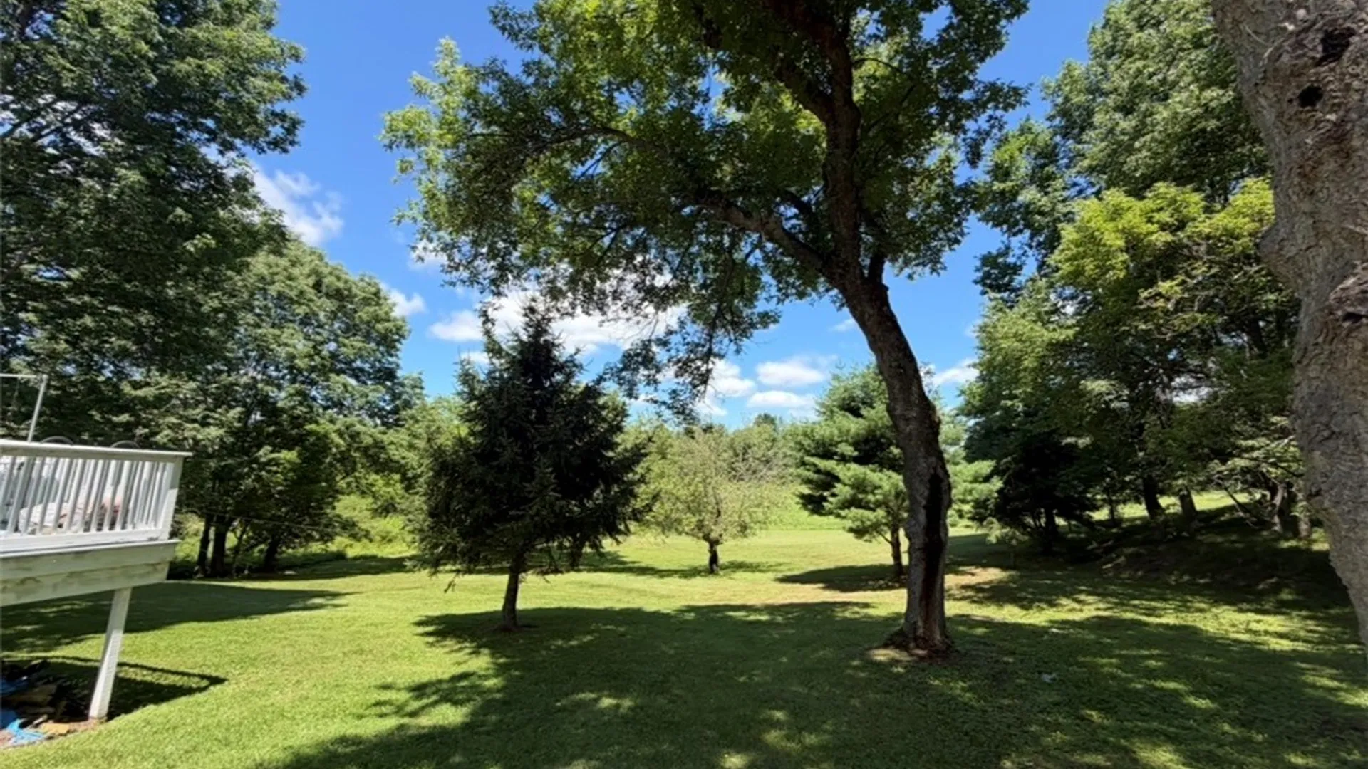 Property at 291 Camp Road, Pittsfield, NY 13411 46