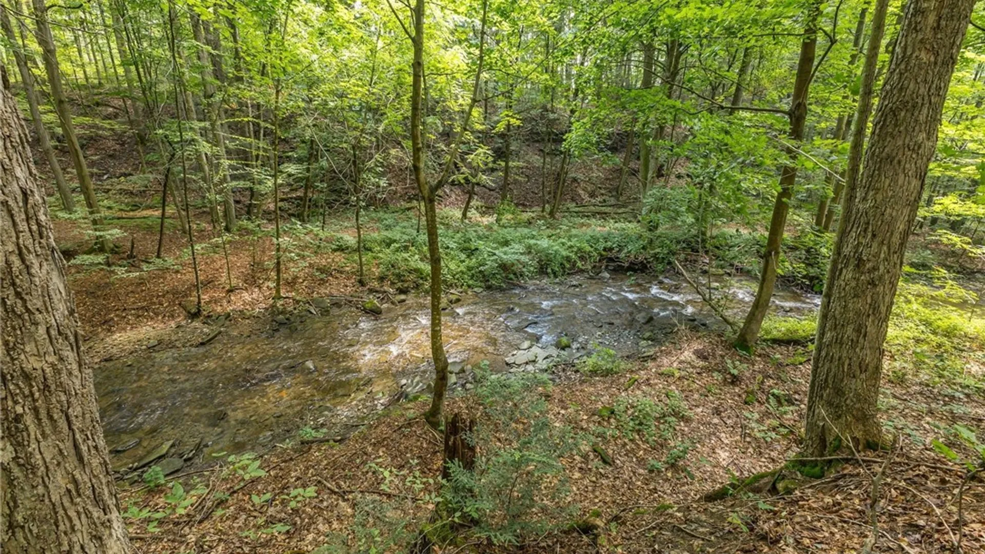 Property at 6322 Sahrles Road, North Dansville, NY 14437 29