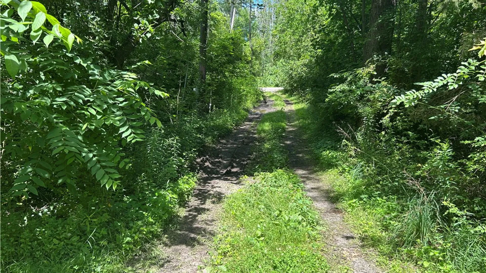 Property at 3960 Ball Road, Marion, NY 14505 2