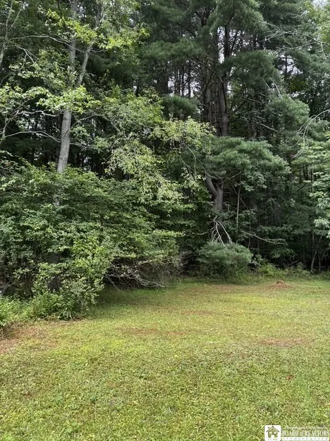 Property at 2615 N Nine Mile, Allegany, NY 14706