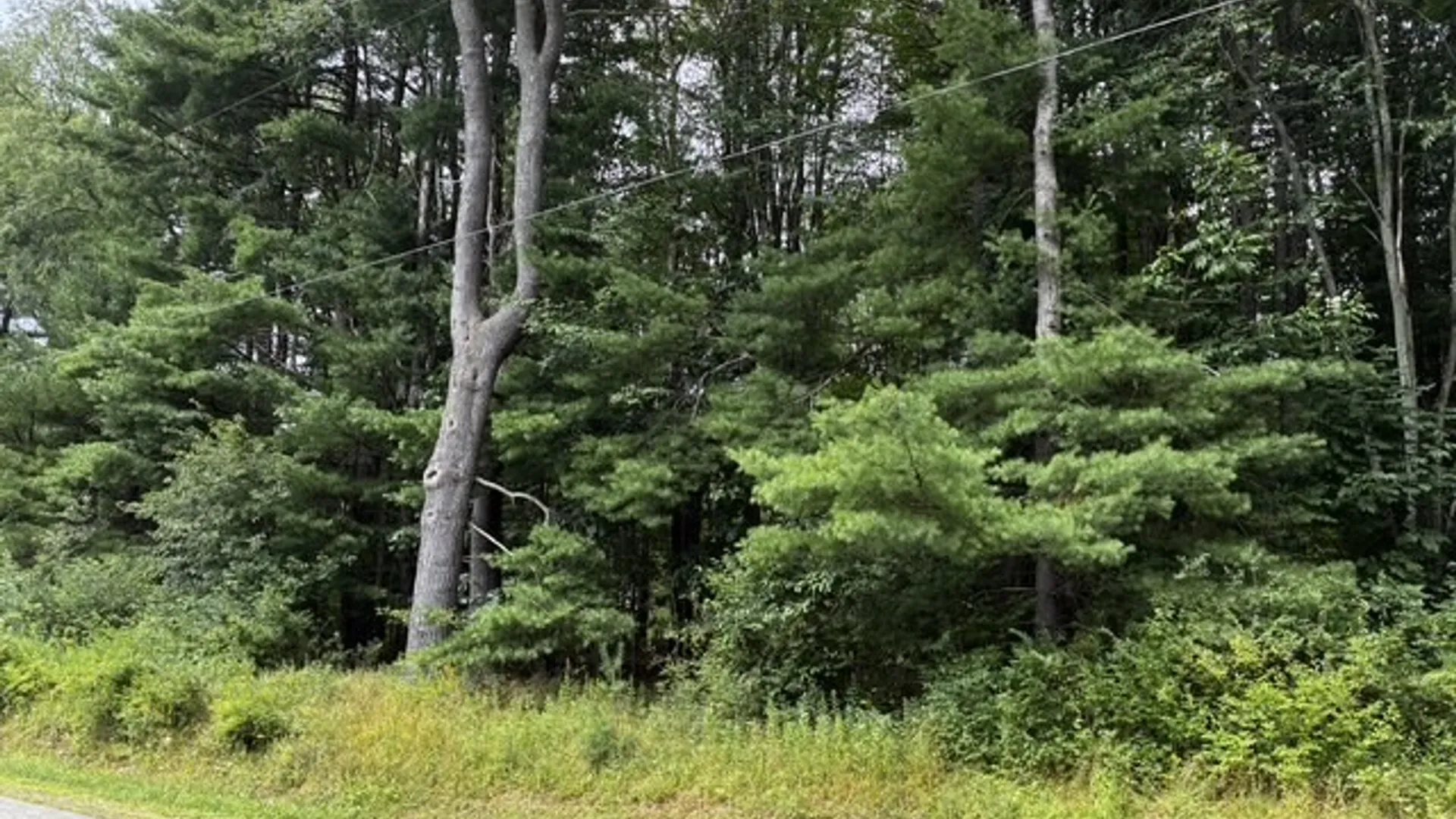 Property at 2615 N Nine Mile, Allegany, NY 14706 2