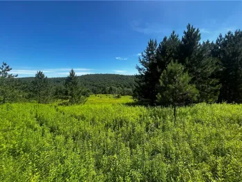 Property at Mary Brown Hill Road, Laurens, NY 13796