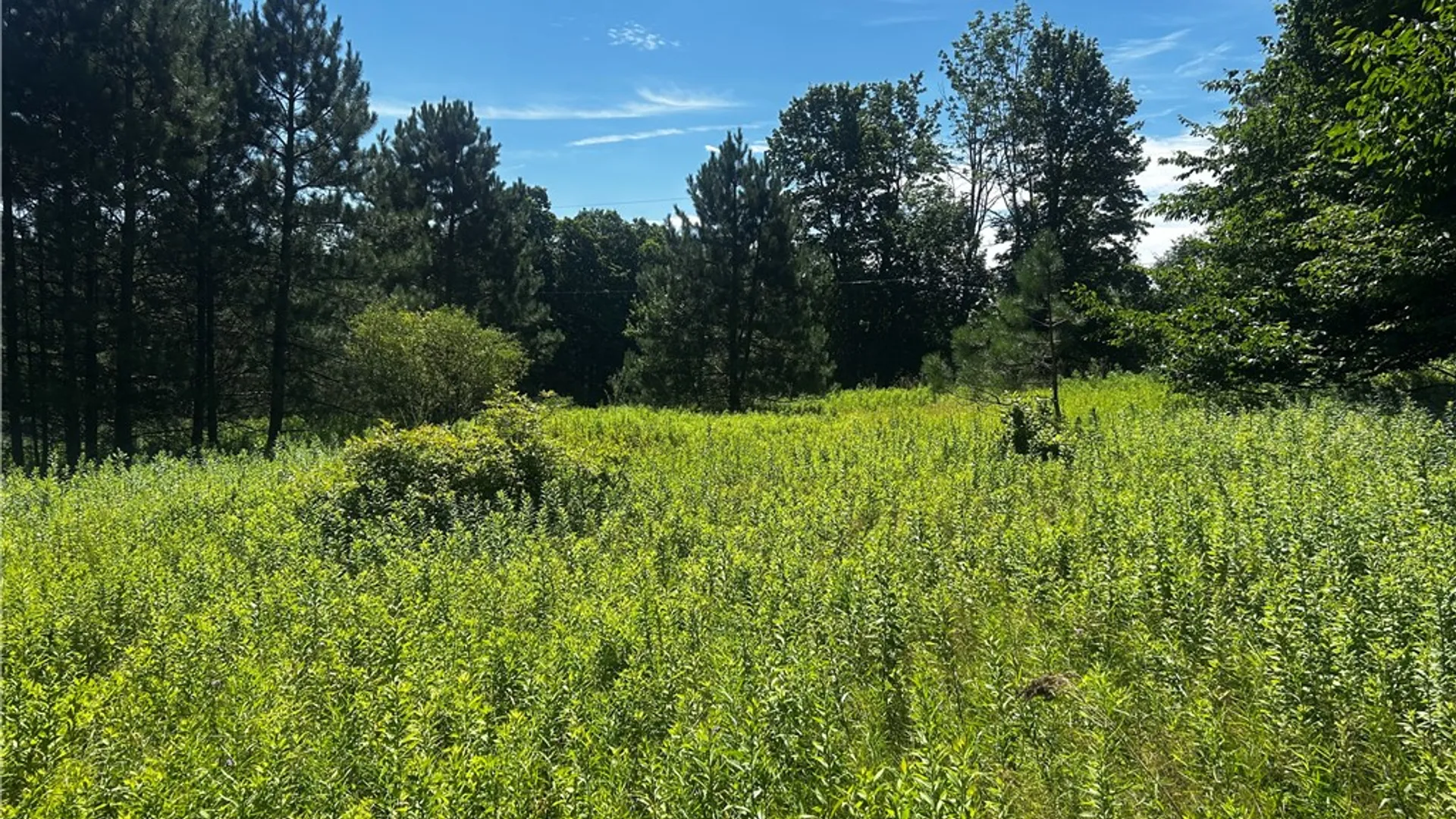 Property at Mary Brown Hill Road, Laurens, NY 13796 2