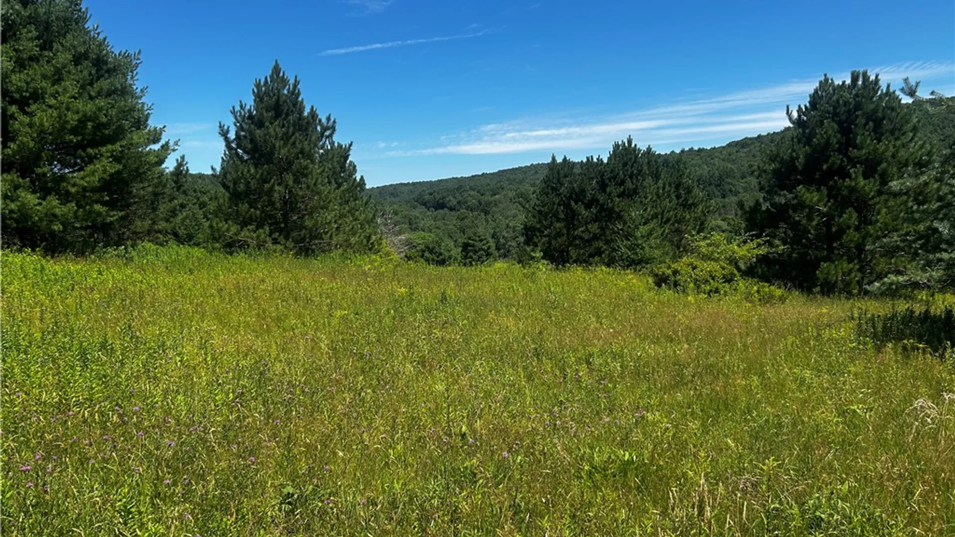 Property at Mary Brown Hill Road, Laurens, NY 13796 6