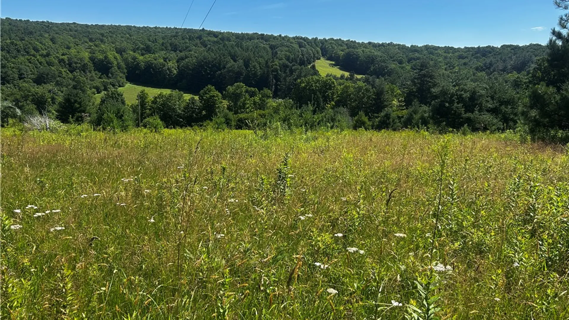 Property at Mary Brown Hill Road, Laurens, NY 13796 7