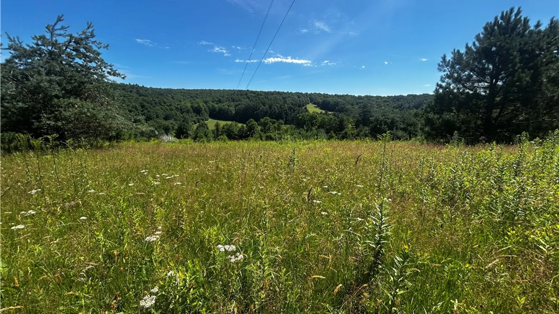 Property at Mary Brown Hill Road, Laurens, NY 13796 8